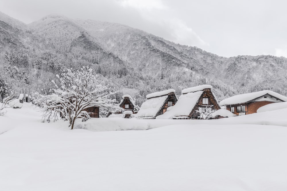 a snow covered village with mountains in the background