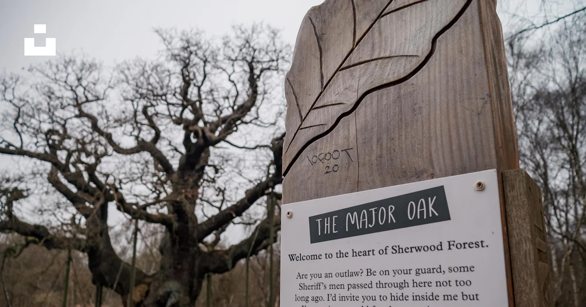 A sign on a wooden post in front of a tree photo – Free Sherwood forest ...