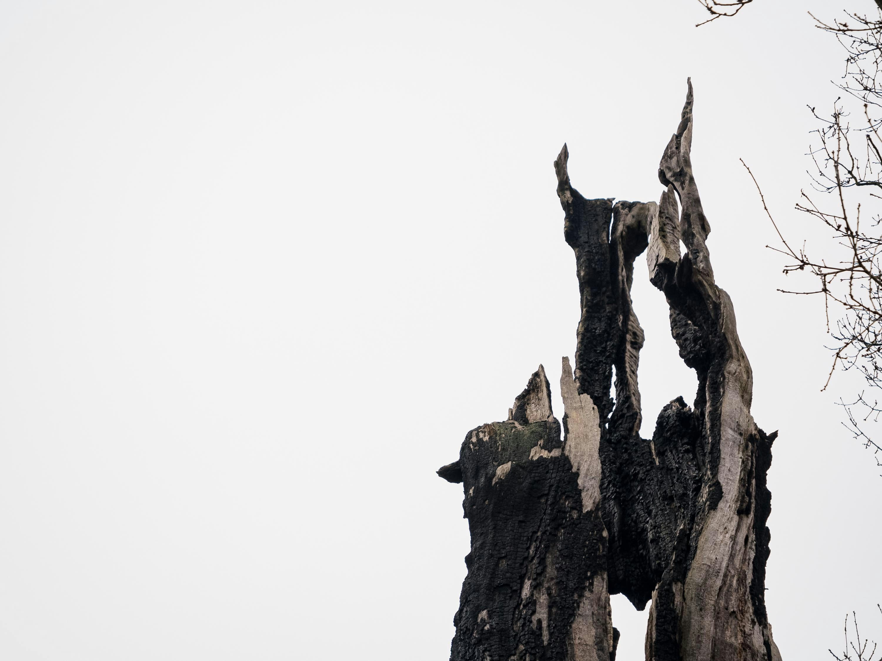 Photo by space_face_films