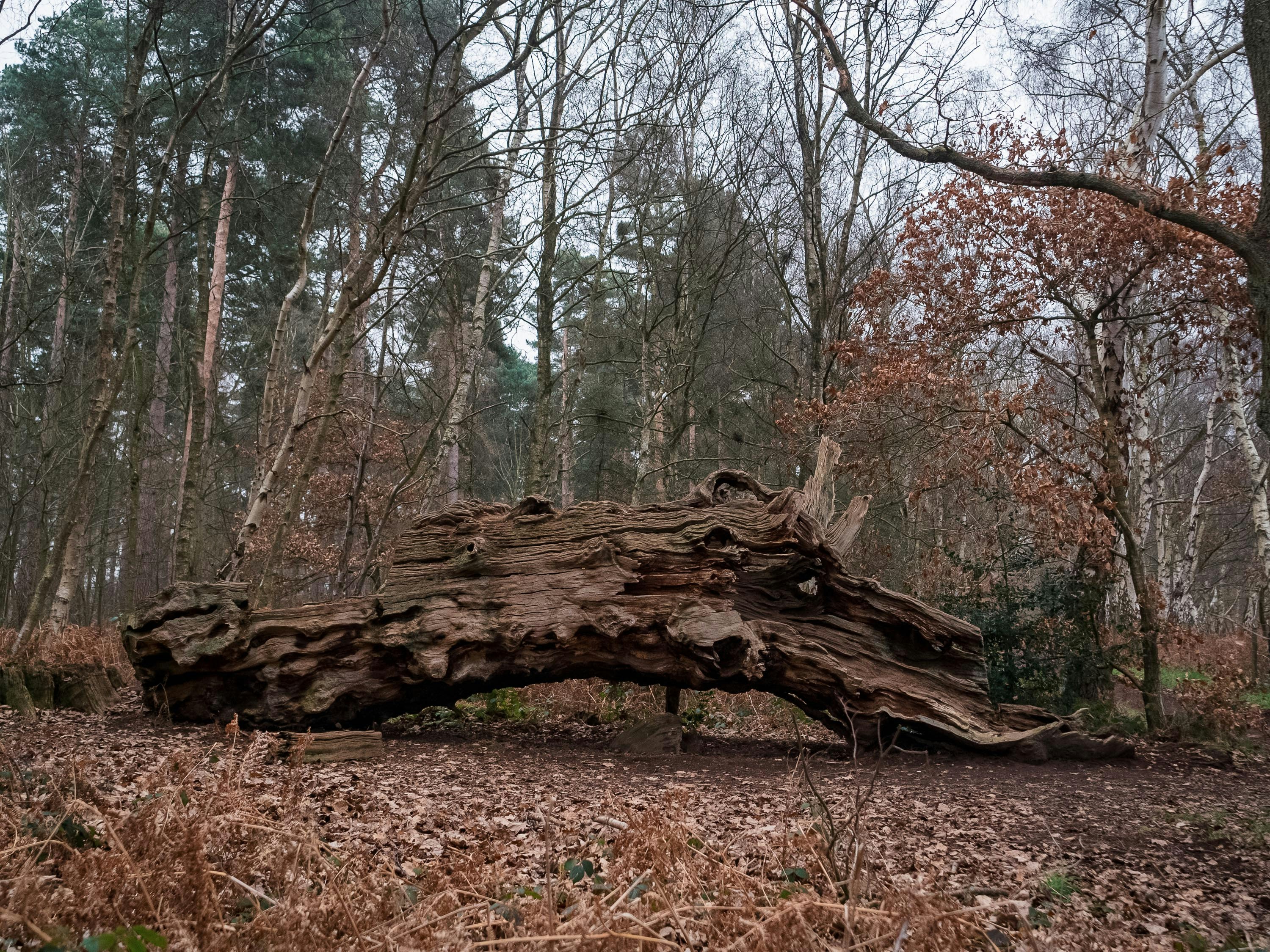 Photo by space_face_films