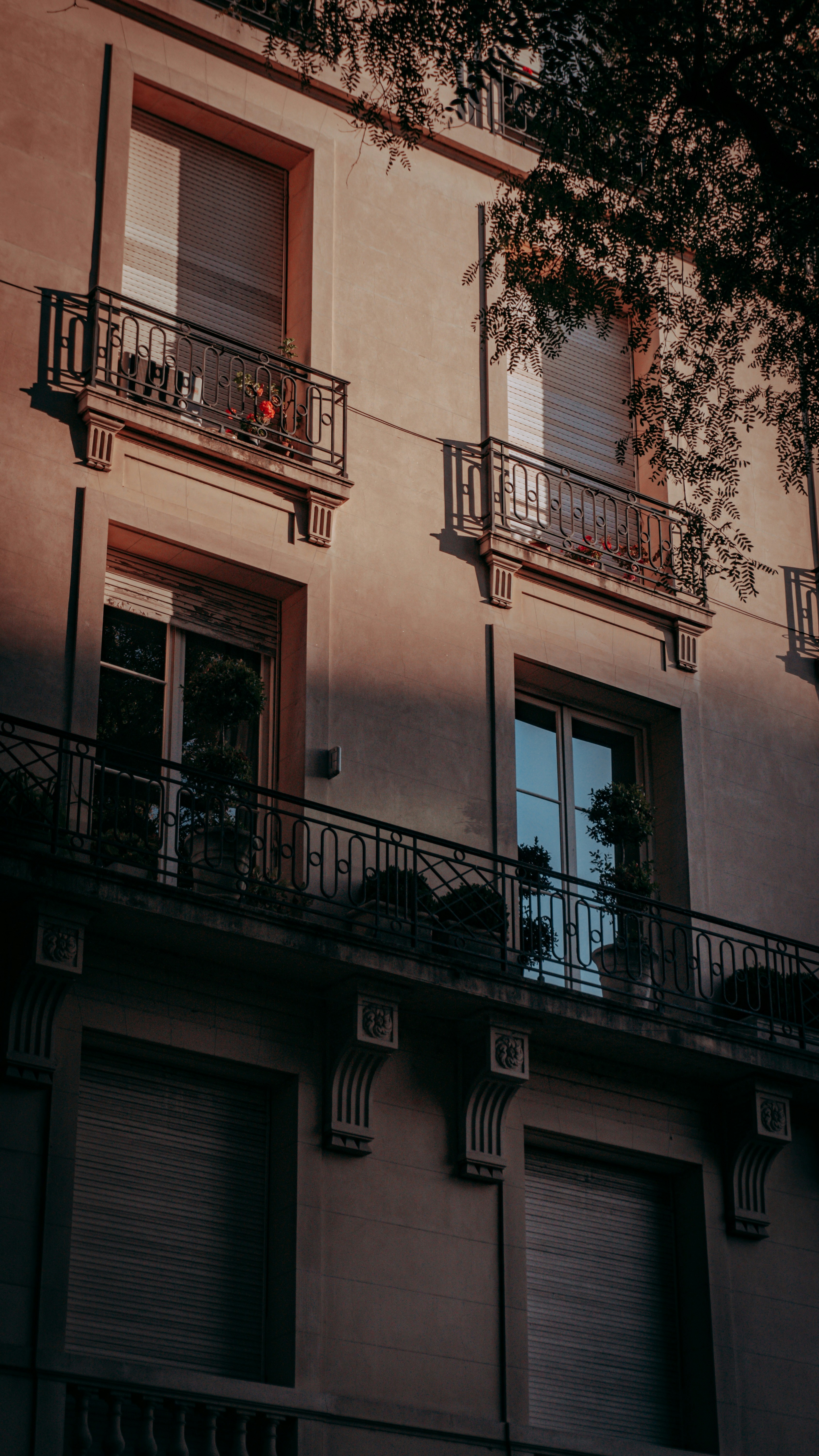 Photo by victoriacurra