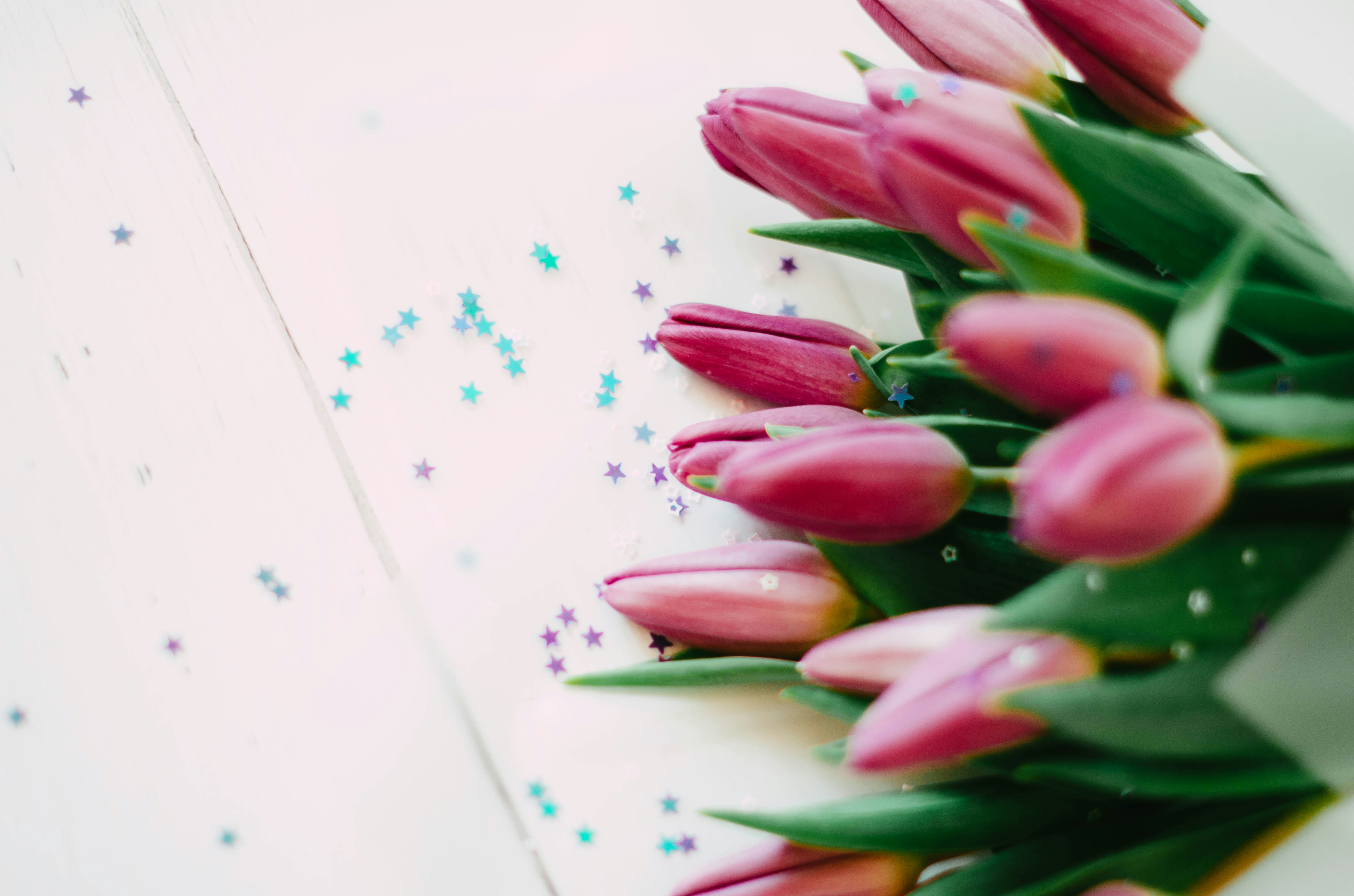 Photo by nika_benedictova