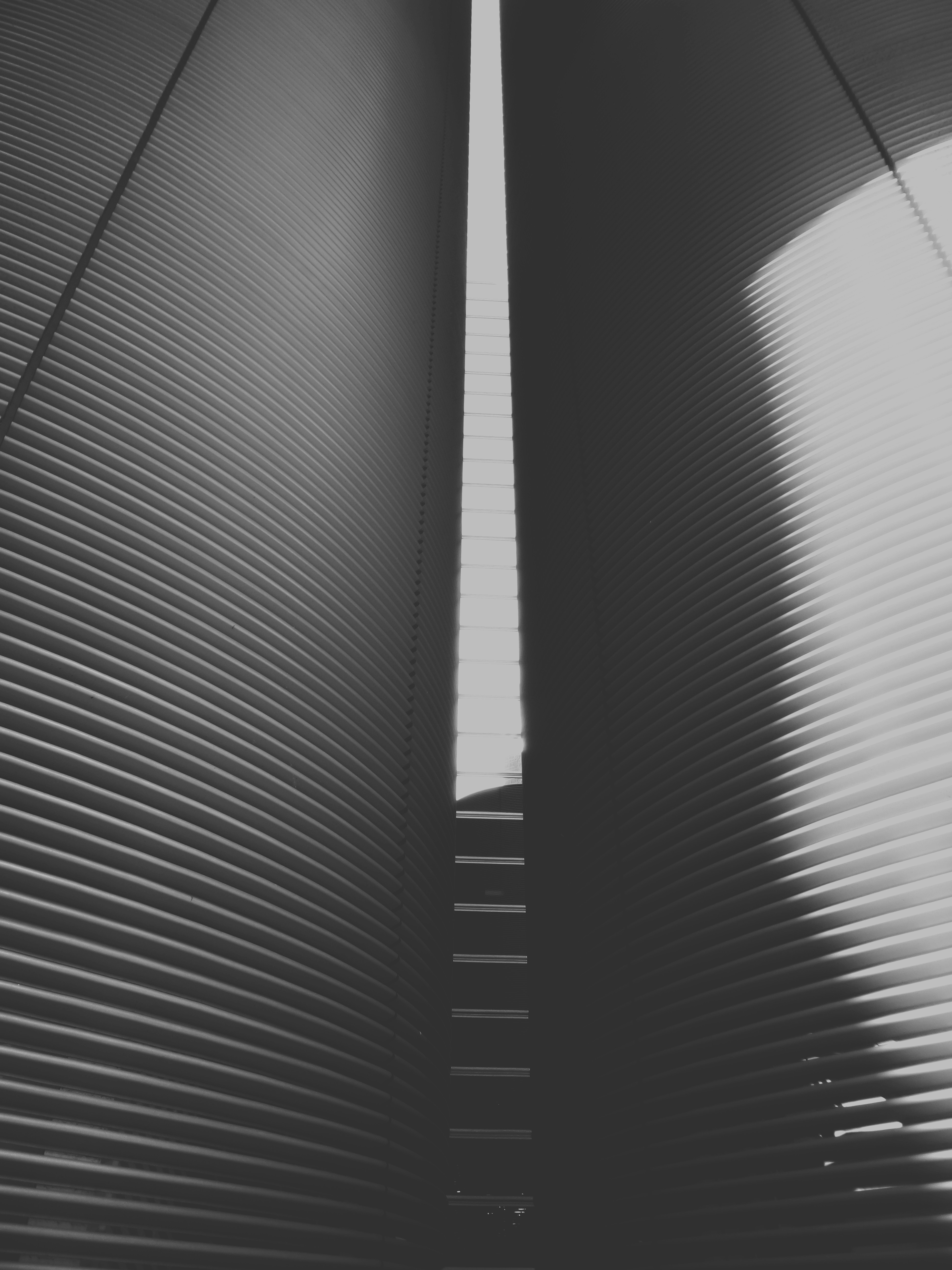 Photo by possessedphotography