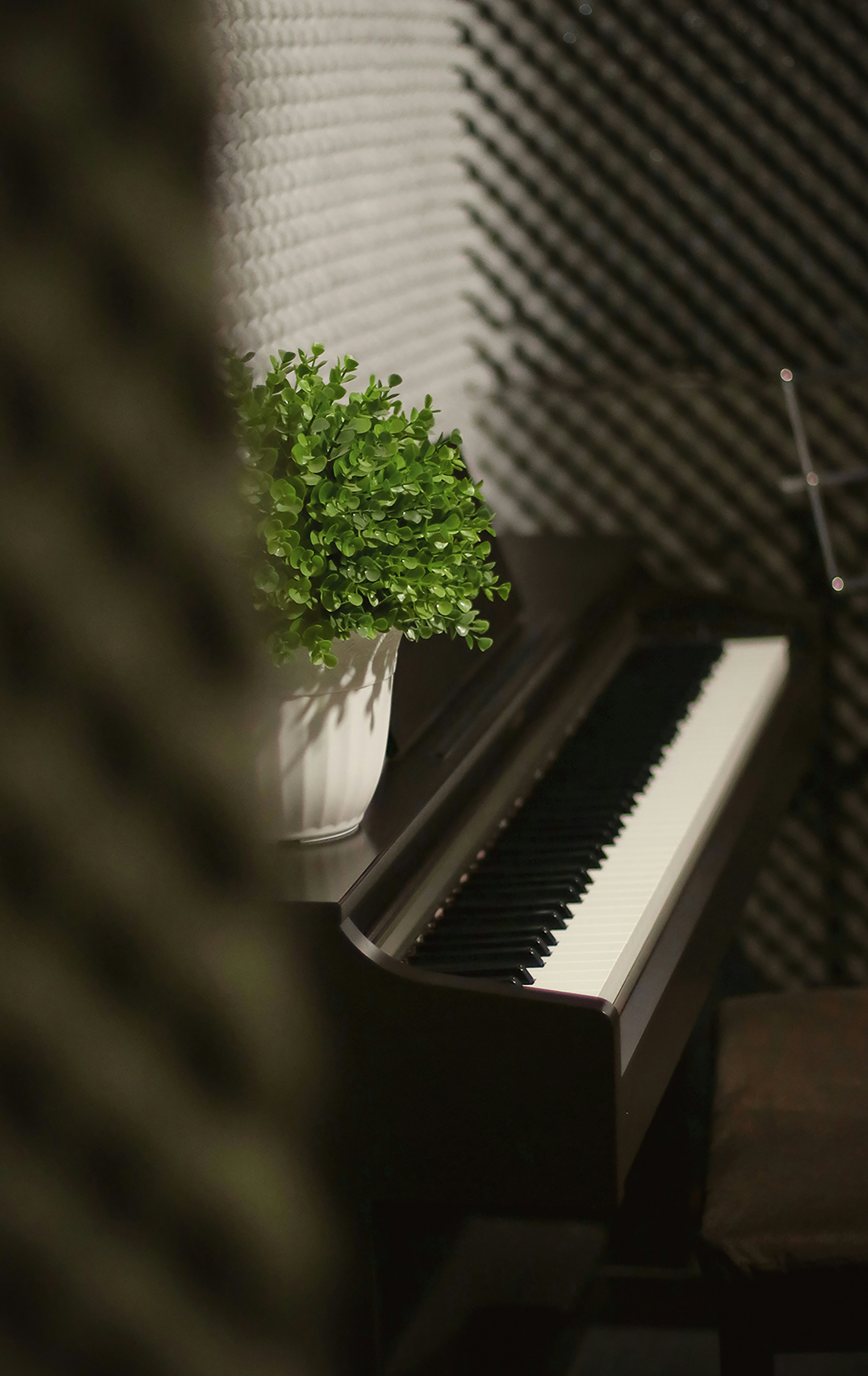 a piano with a potted plant on top of it