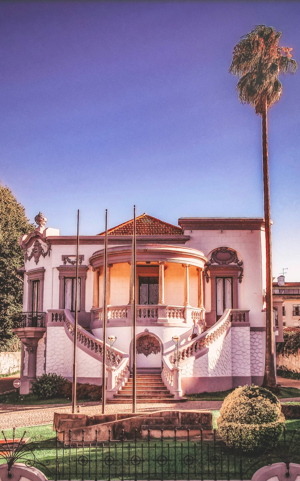 a white house with a palm tree in front of it