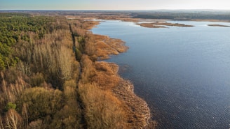 An expansive aerial view features a large body of water bordered by dense forests and marshlands. The landscape includes a mixture of evergreen and deciduous trees, with a visible path cutting through the trees suggesting a natural reserve or park. The water appears calm, reflecting the blue sky and is dotted with patches of aquatic vegetation.