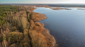An expansive aerial view features a large body of water bordered by dense forests and marshlands. The landscape includes a mixture of evergreen and deciduous trees, with a visible path cutting through the trees suggesting a natural reserve or park. The water appears calm, reflecting the blue sky and is dotted with patches of aquatic vegetation.