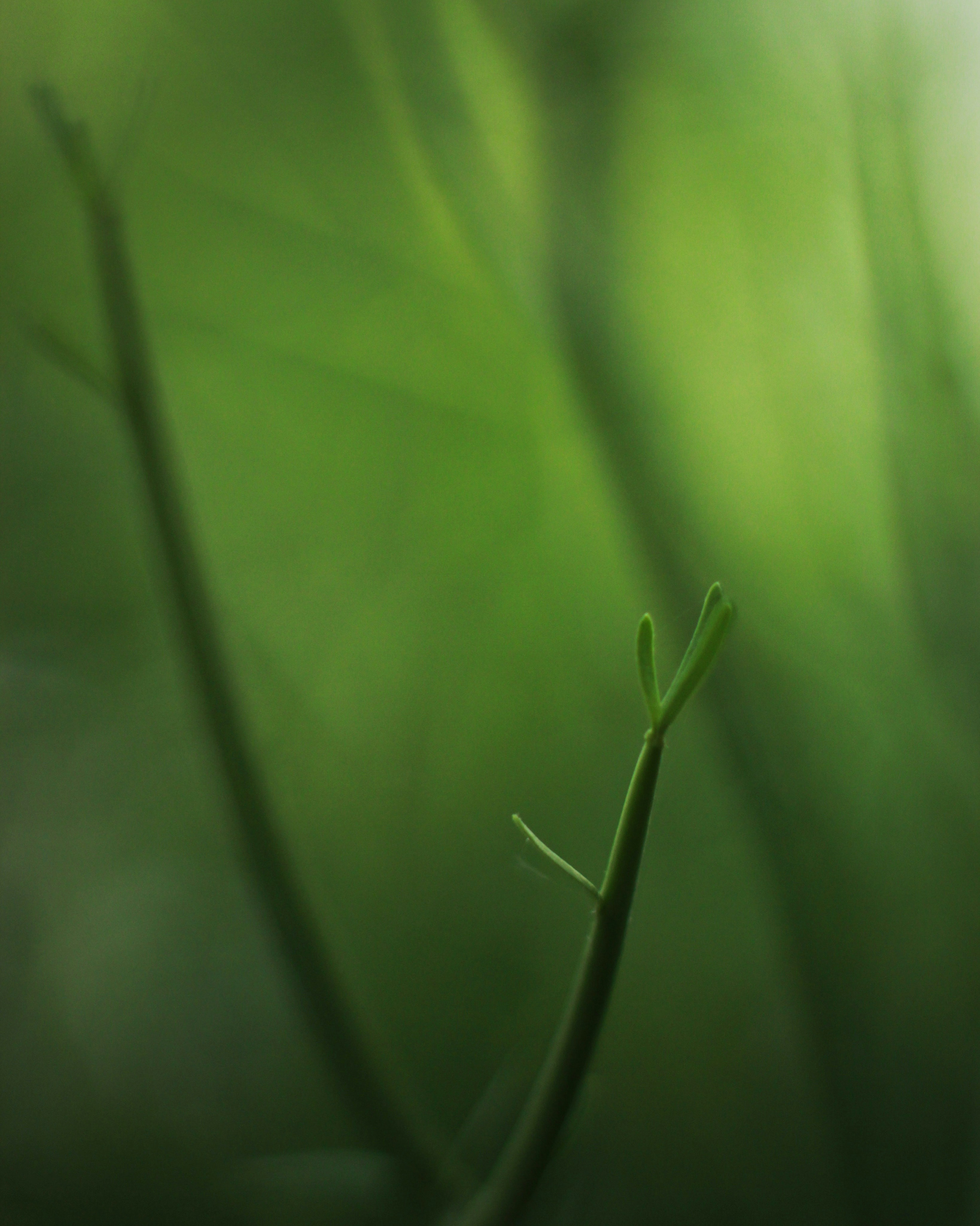 Photo by leonardovieirafotos