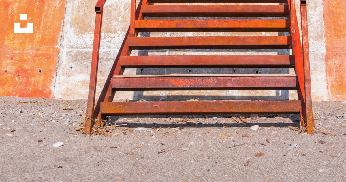 A set of stairs leading up to a palm tree photo – Free Handrail Image ...