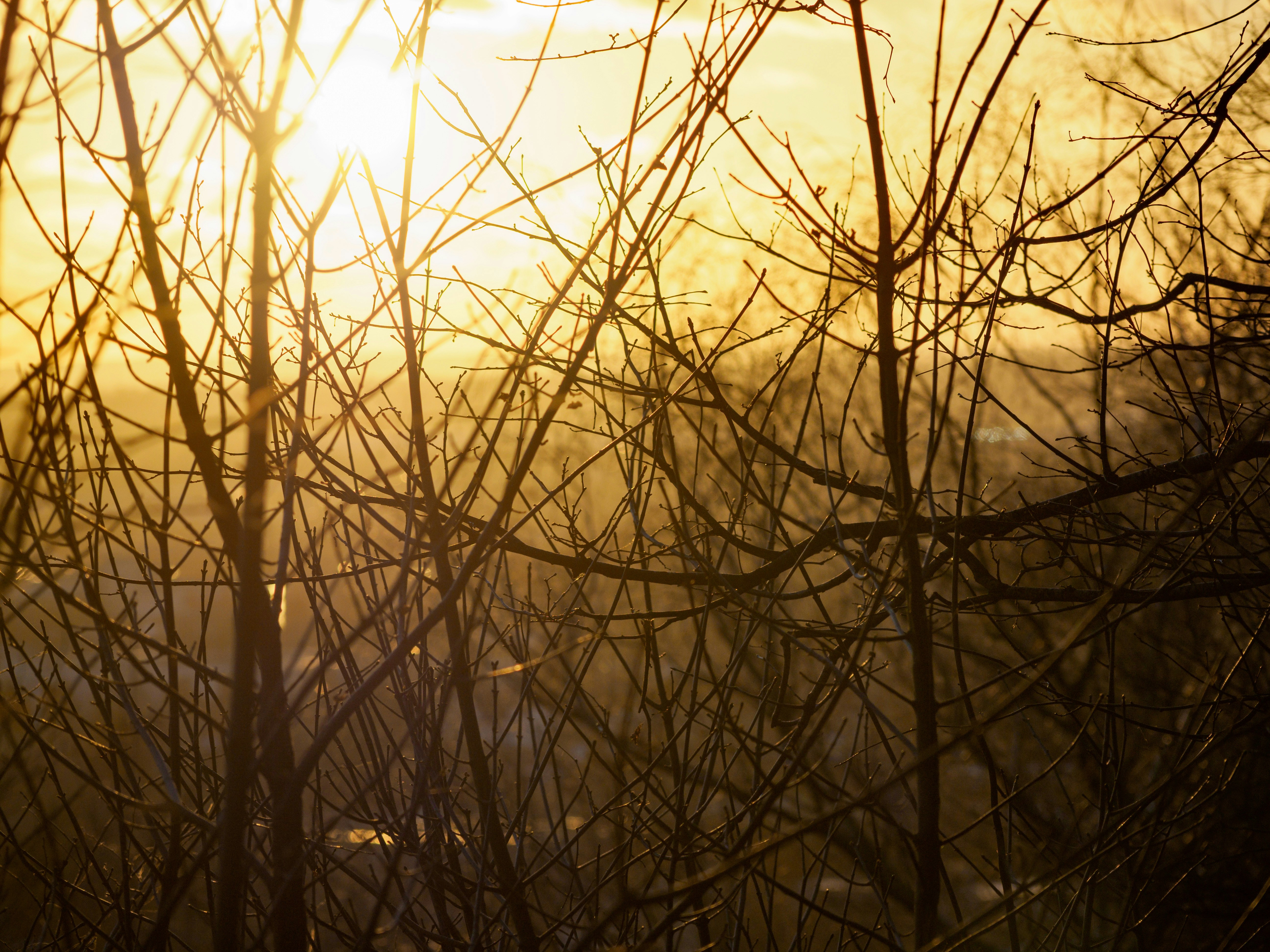 Photo by brett_jordan