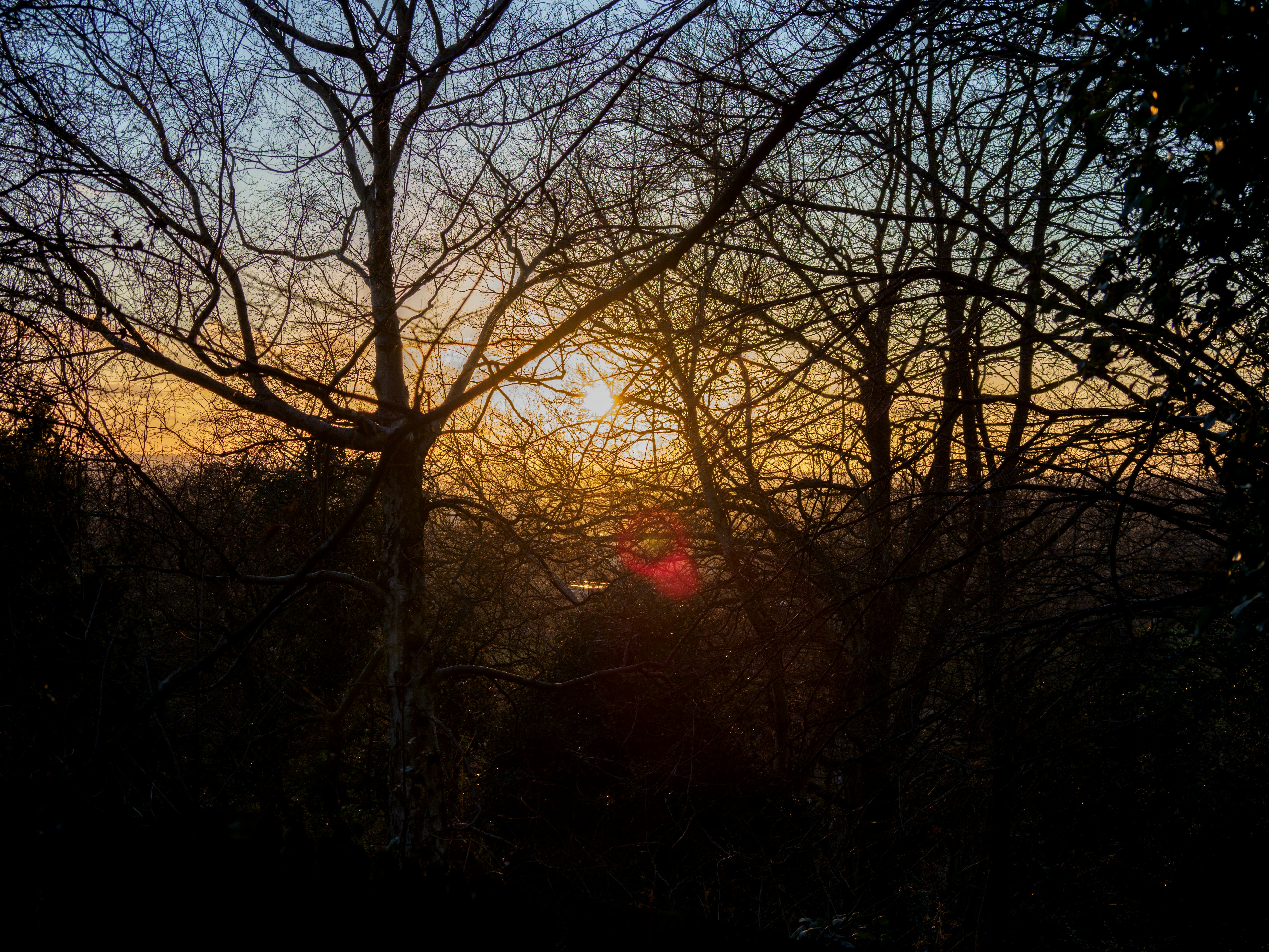 Photo by brett_jordan