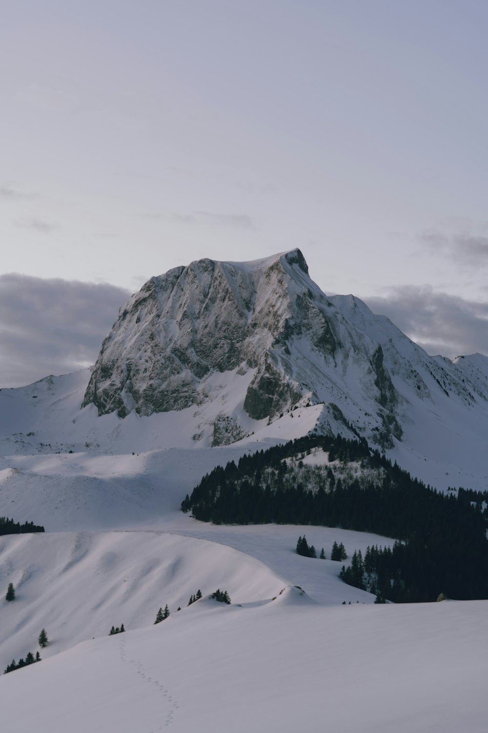 a mountain covered in snow with trees on the side