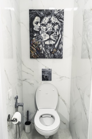 A bathroom with white marble walls and a modern toilet setup. Above the toilet hangs a striking black and white painting featuring a close-up of a lion's face next to a woman's face. The area contains a toilet paper holder with a roll, a toilet brush, and a small handheld bidet.