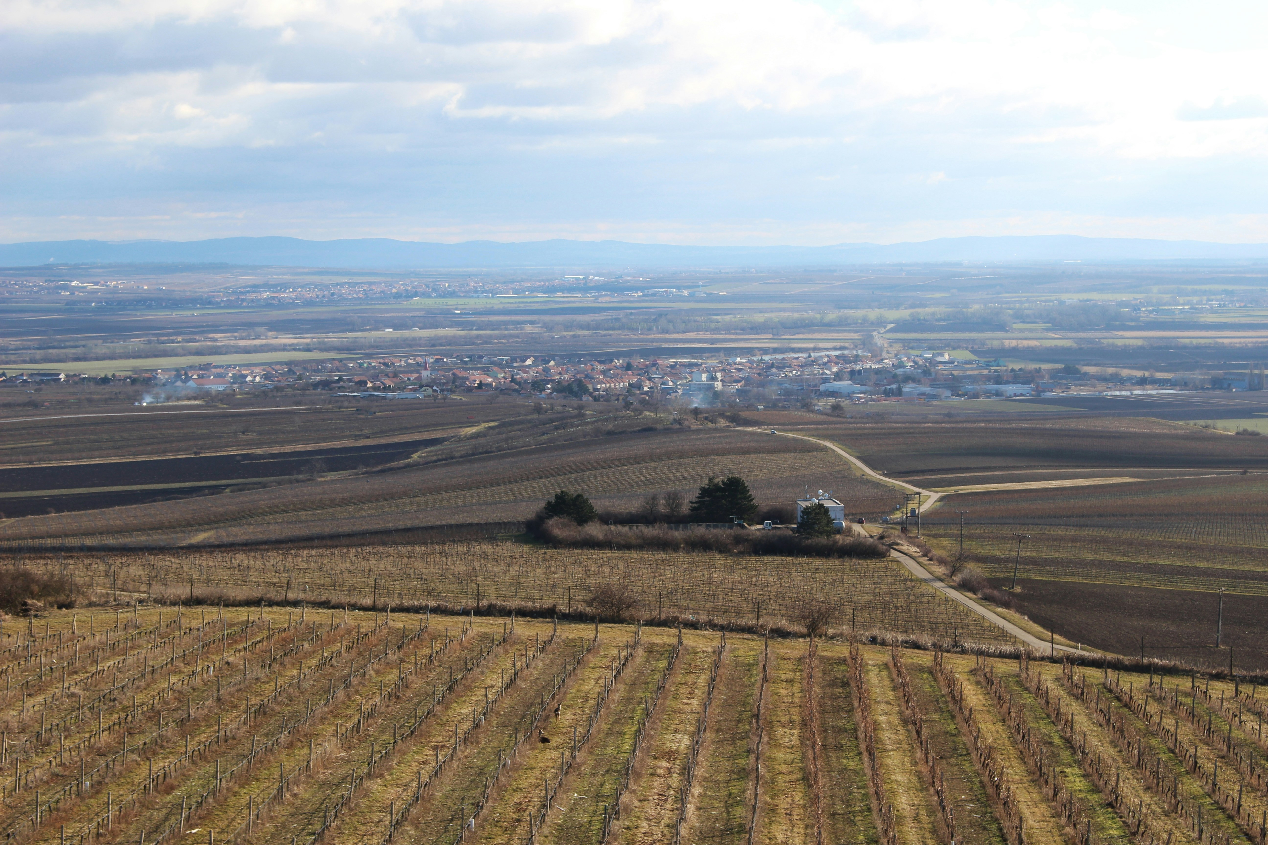 Photo by marjorylucabaxter