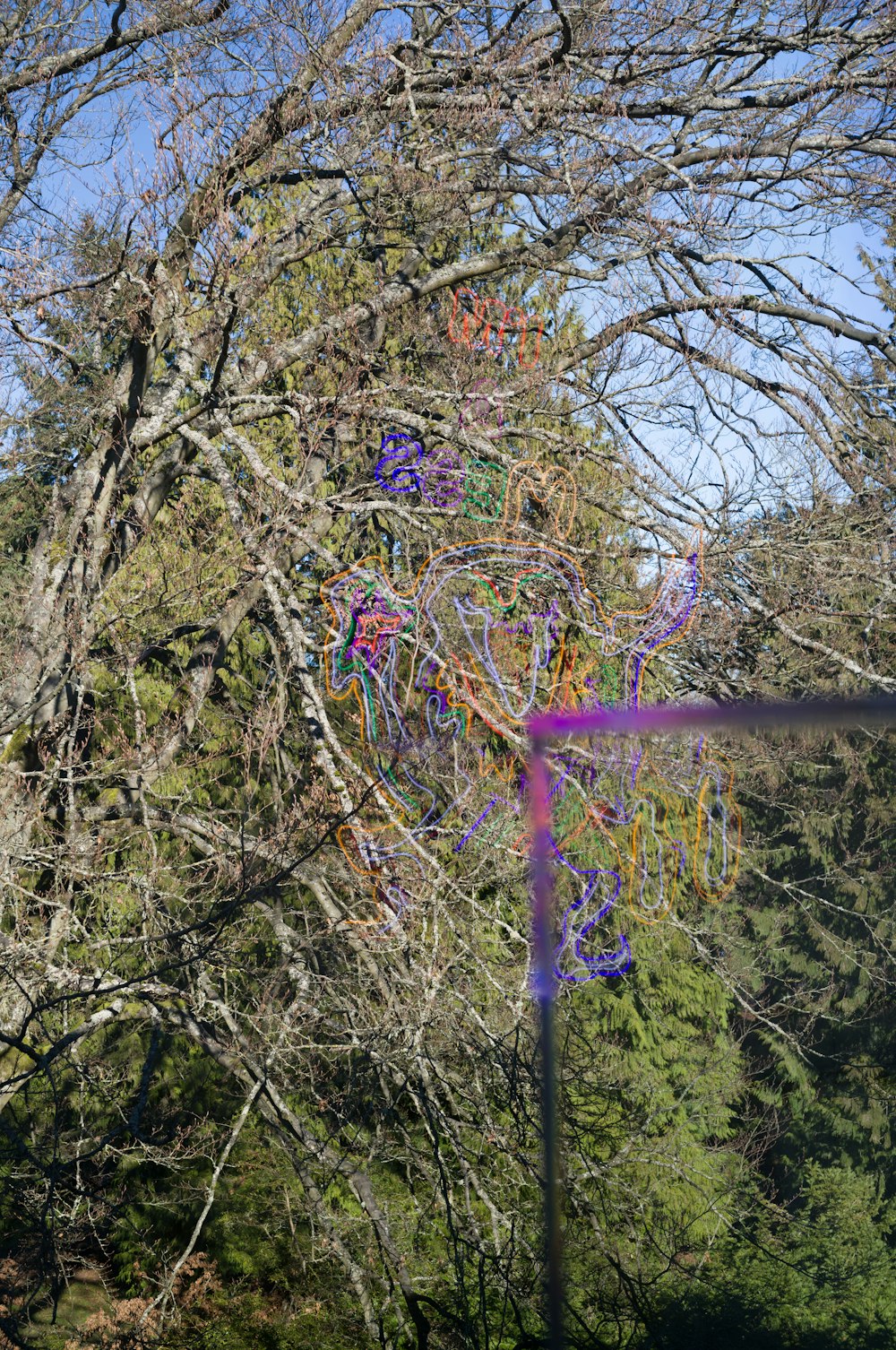 Una cometa volando a través de un bosque lleno de árboles