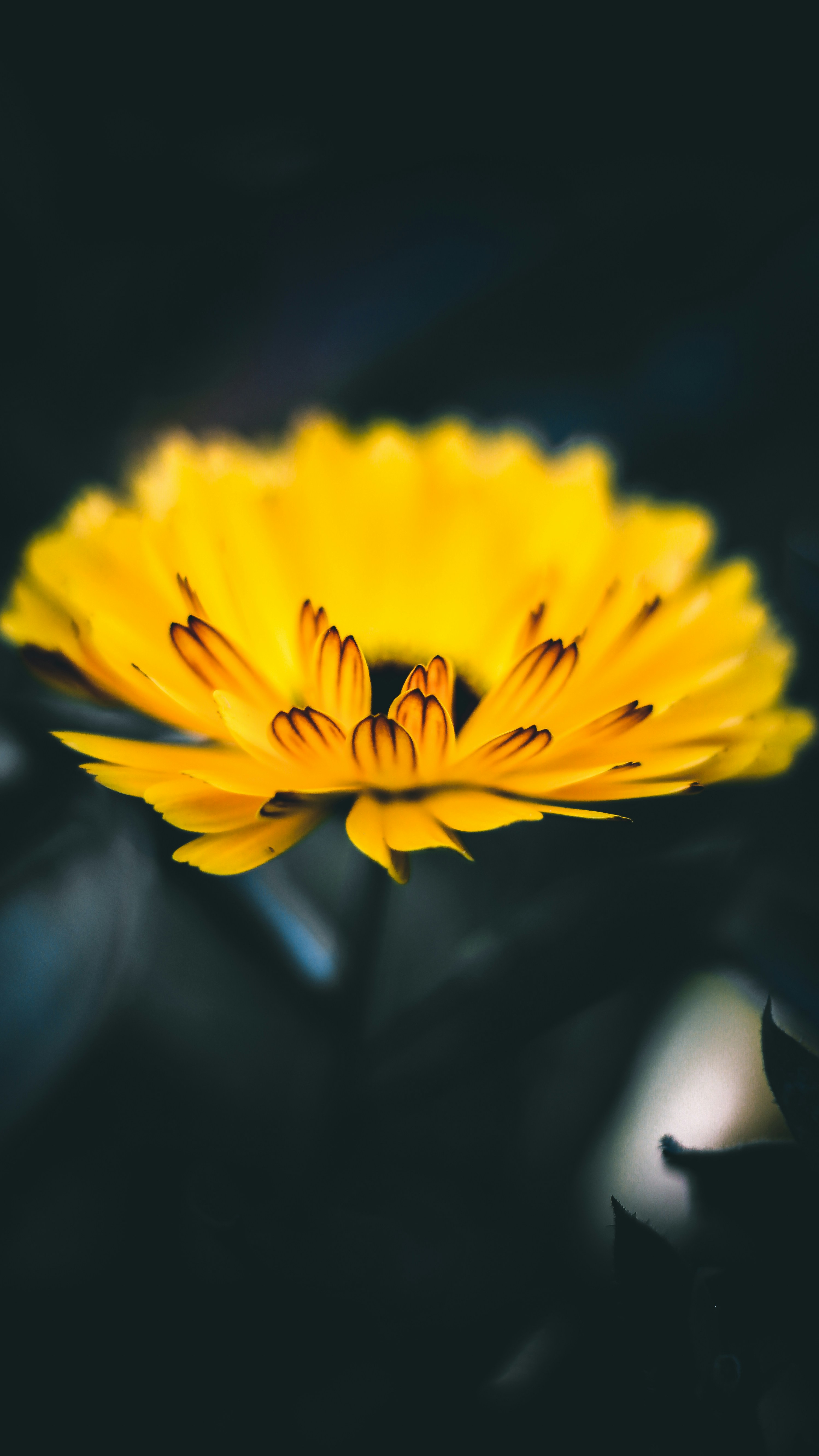 Photo by i_do_photographee