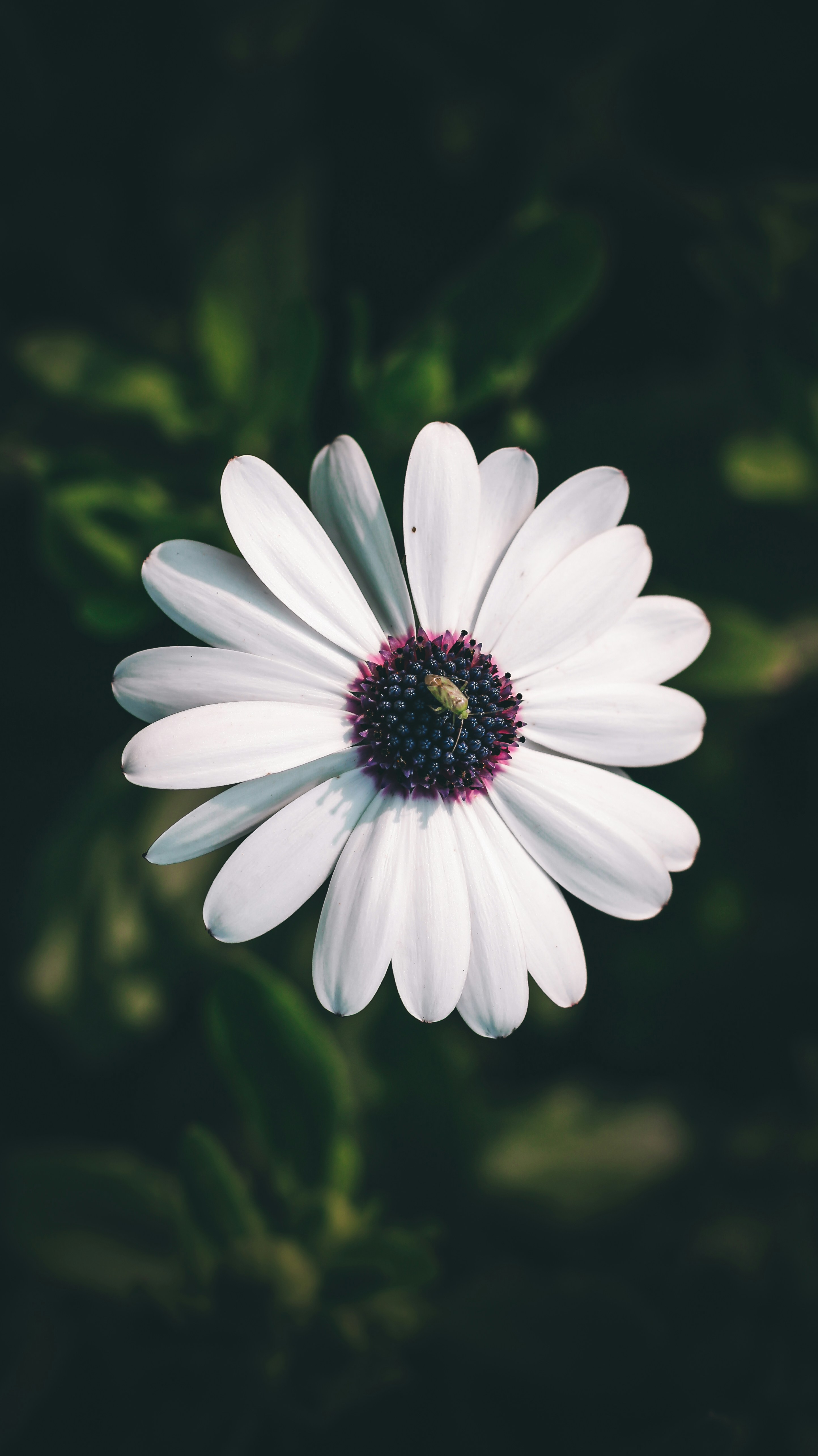 Photo by i_do_photographee