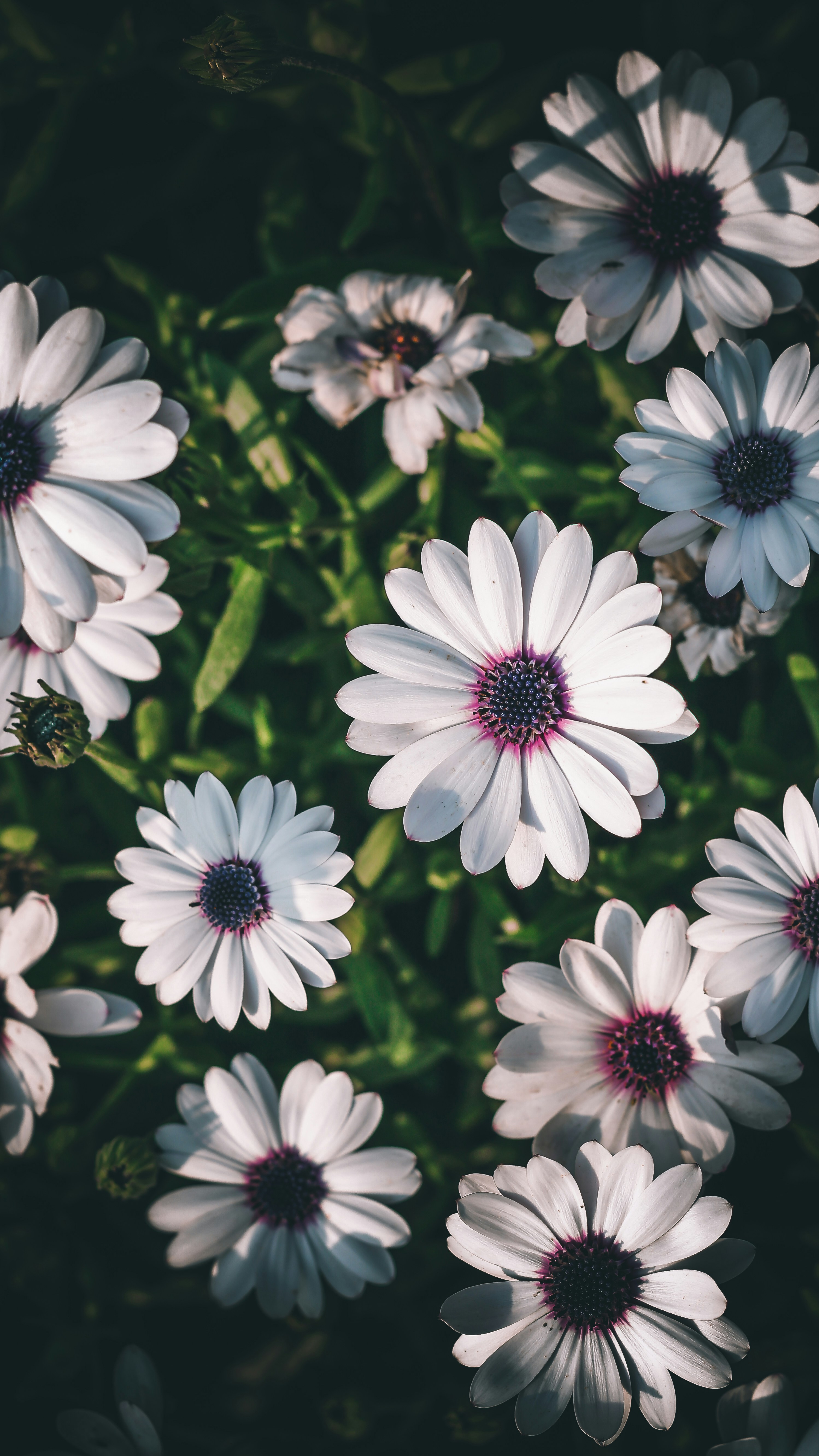 Photo by i_do_photographee