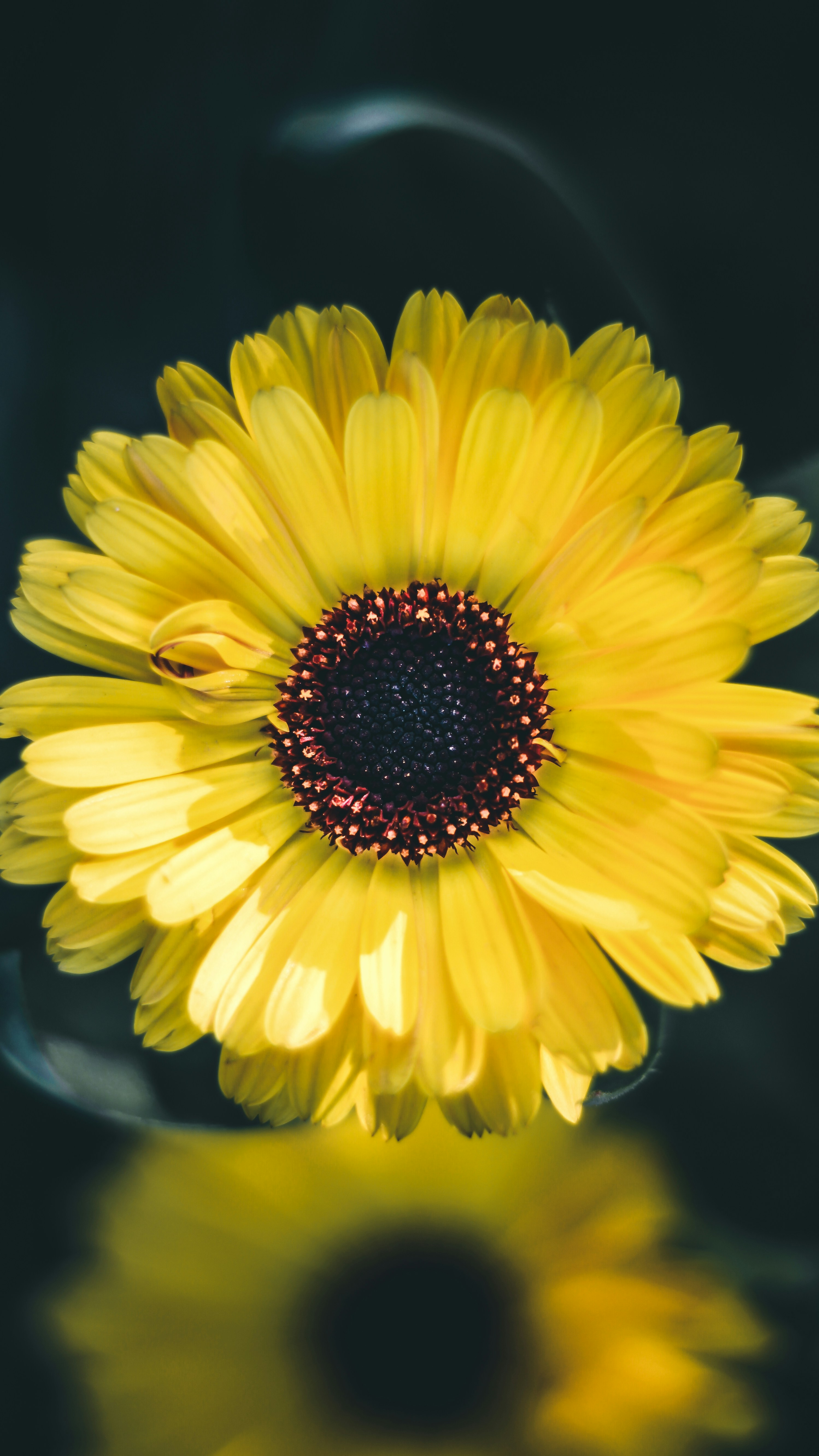 Photo by i_do_photographee