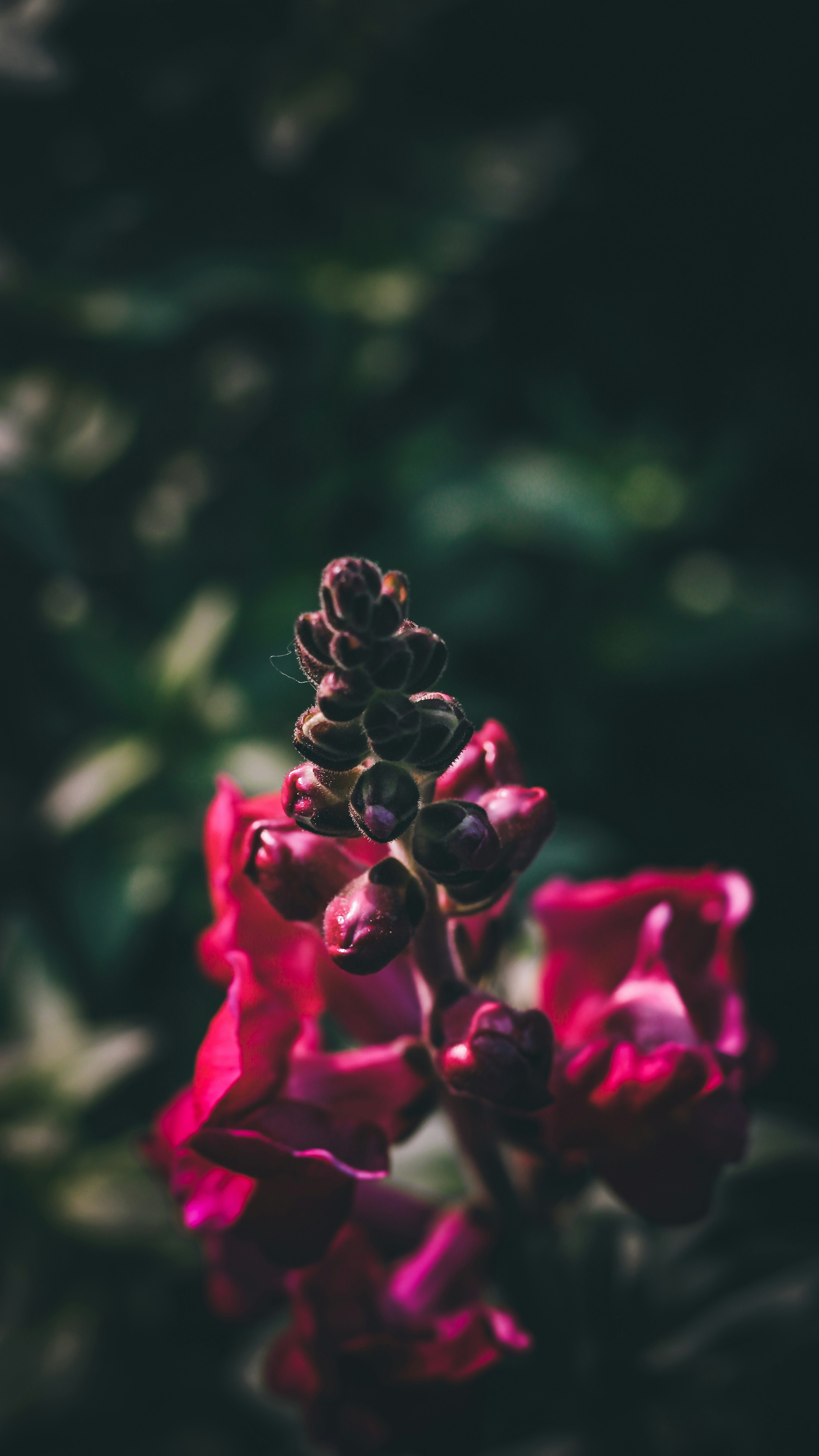 Photo by i_do_photographee