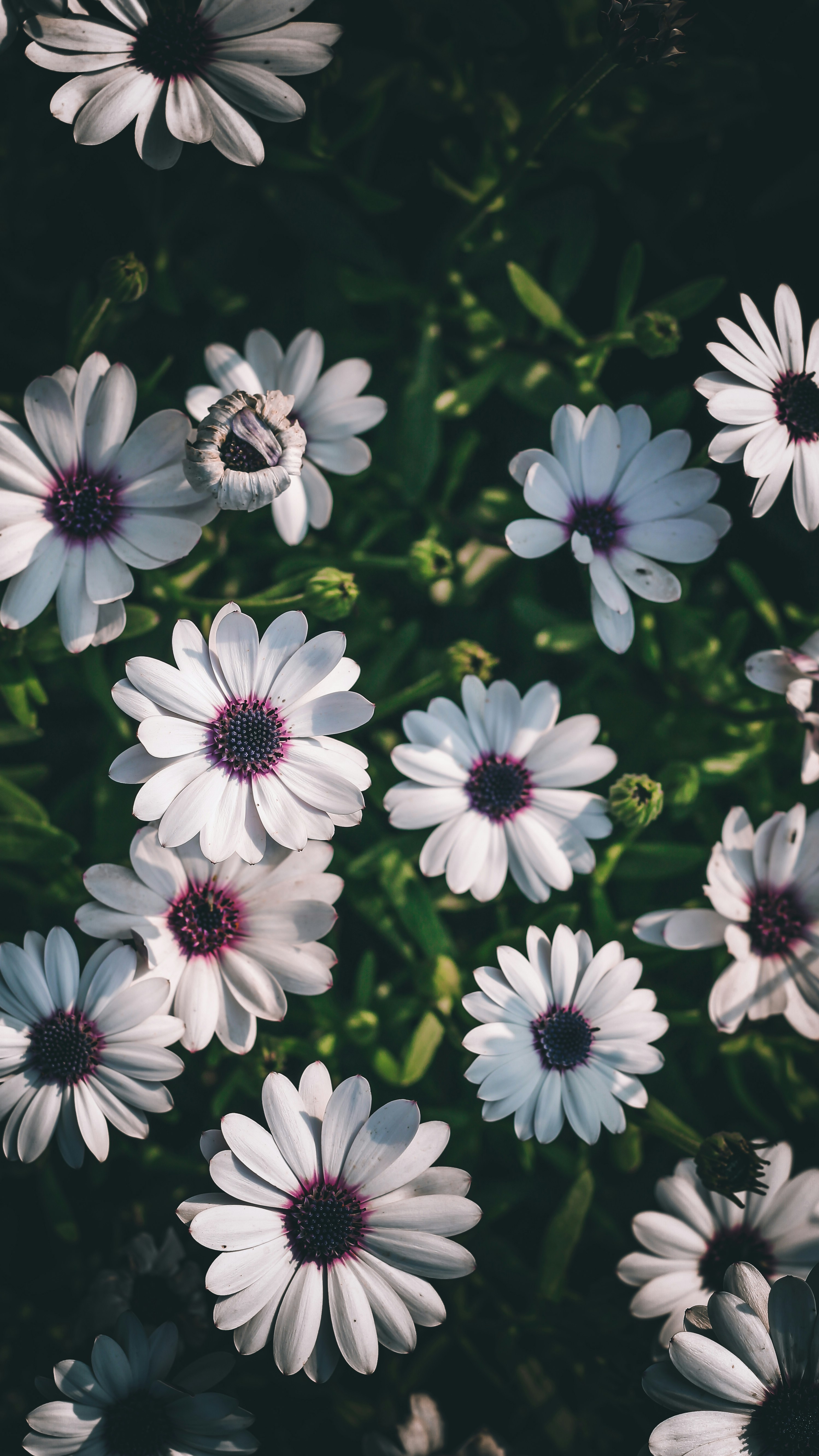 Photo by i_do_photographee