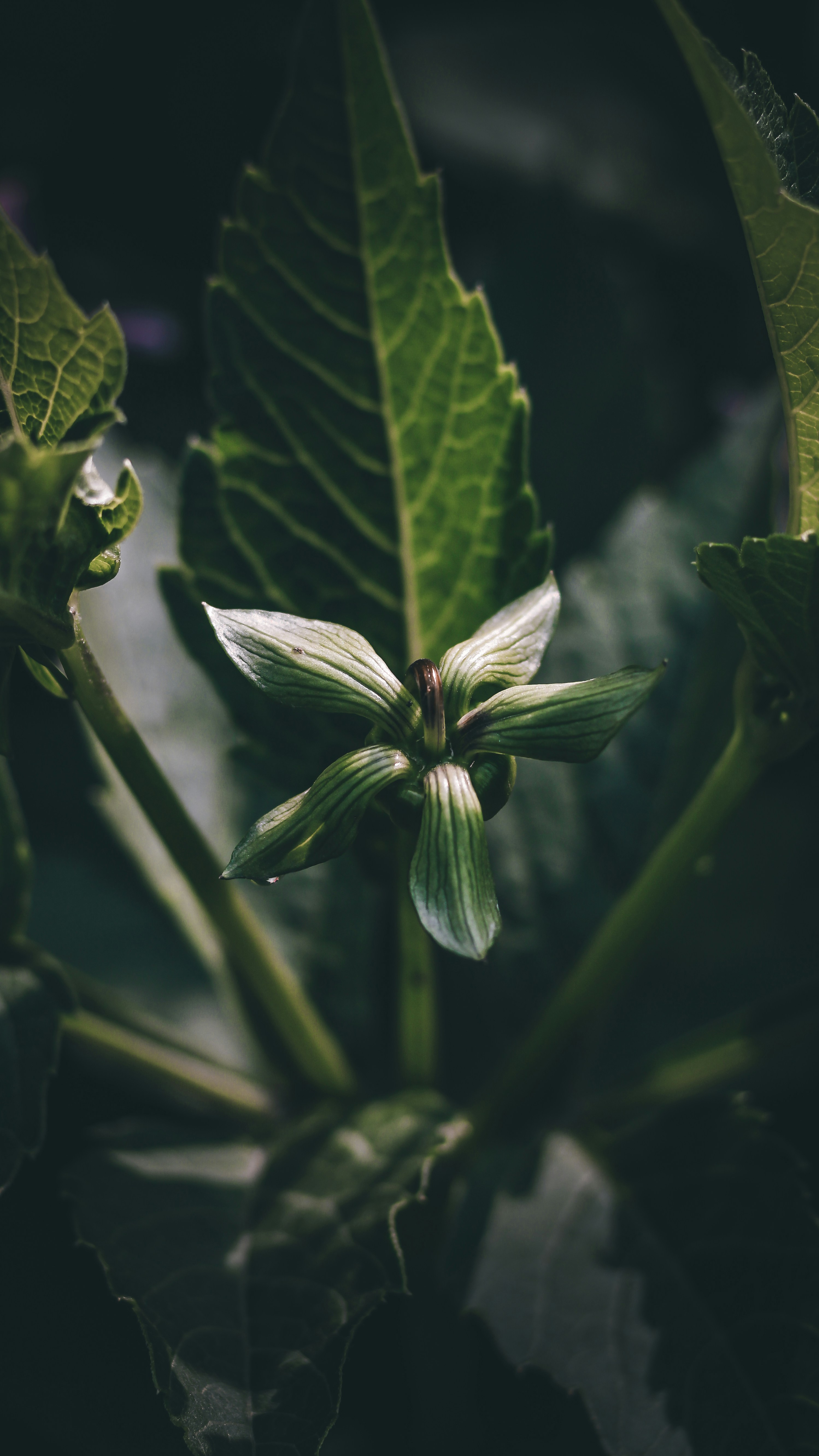 Photo by i_do_photographee