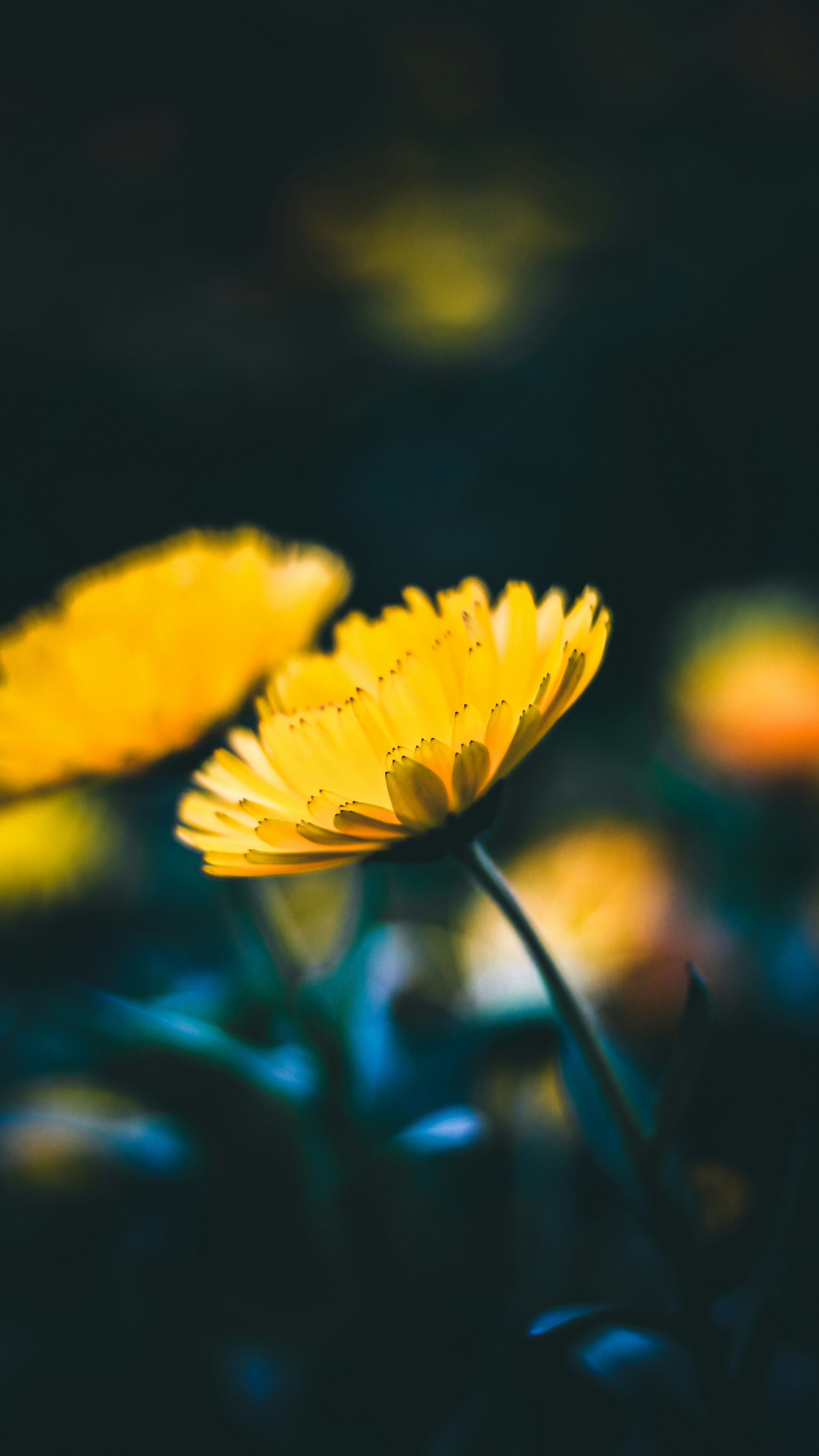 Photo by i_do_photographee