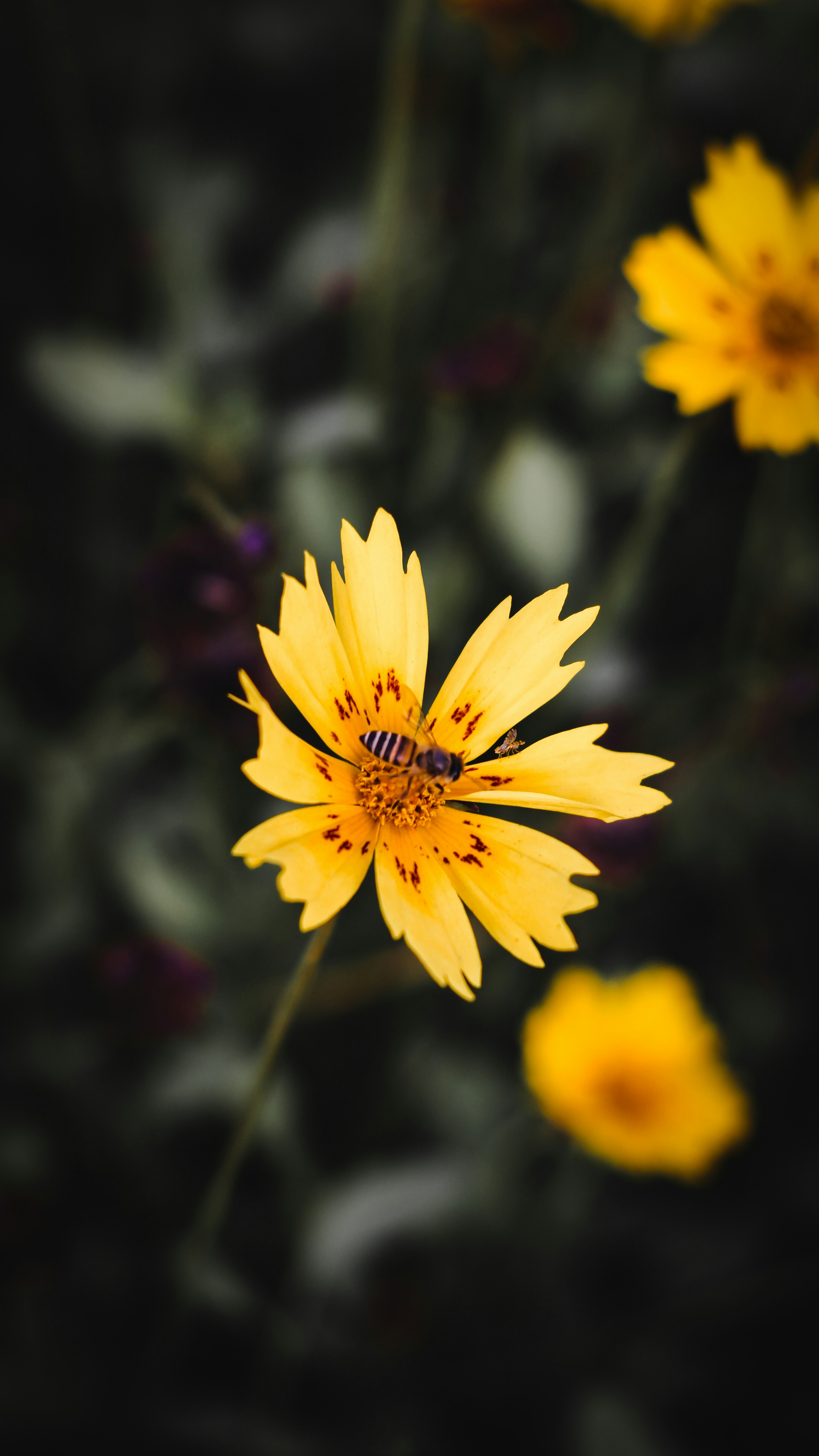 Photo by i_do_photographee