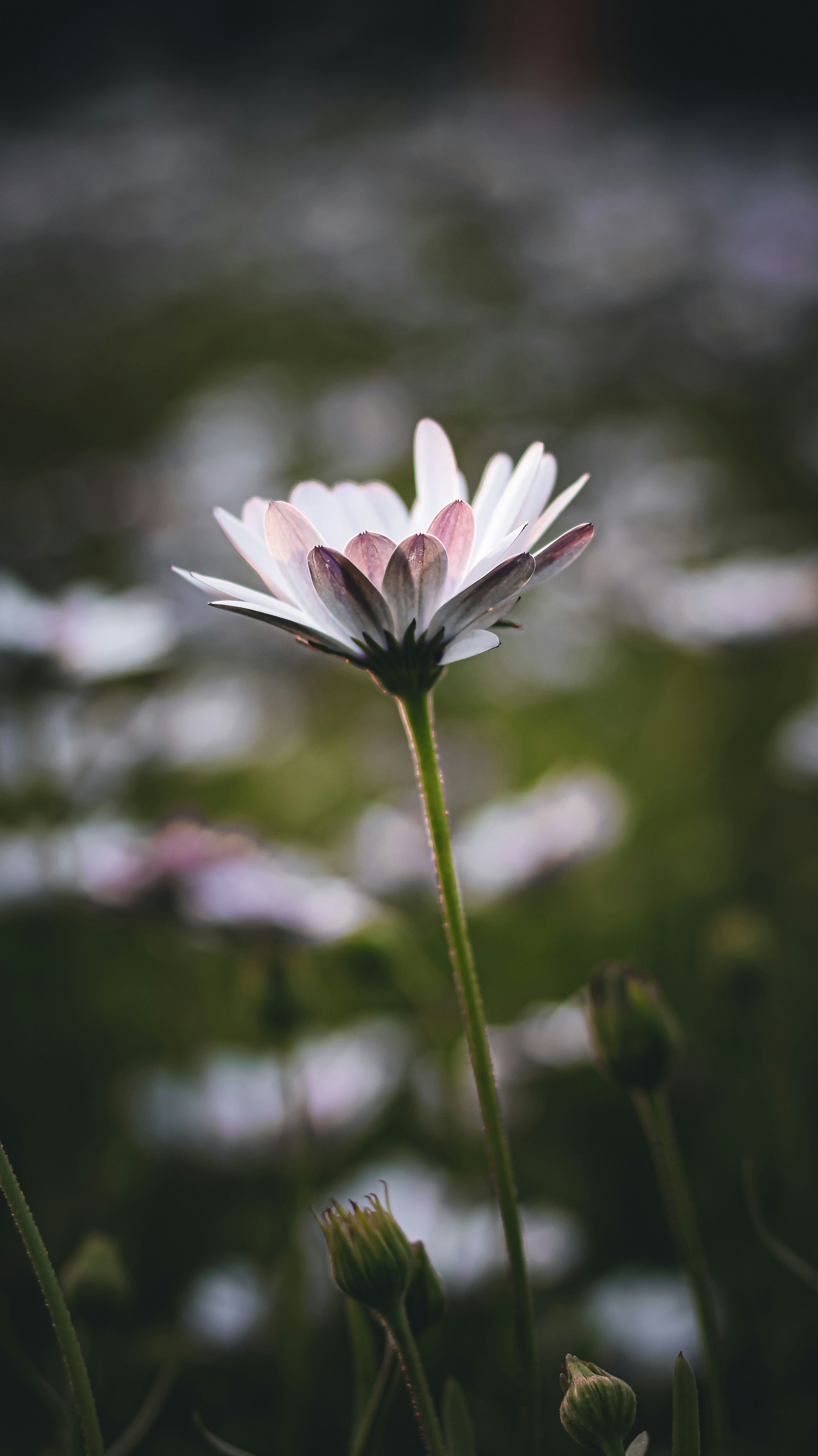 Photo by i_do_photographee