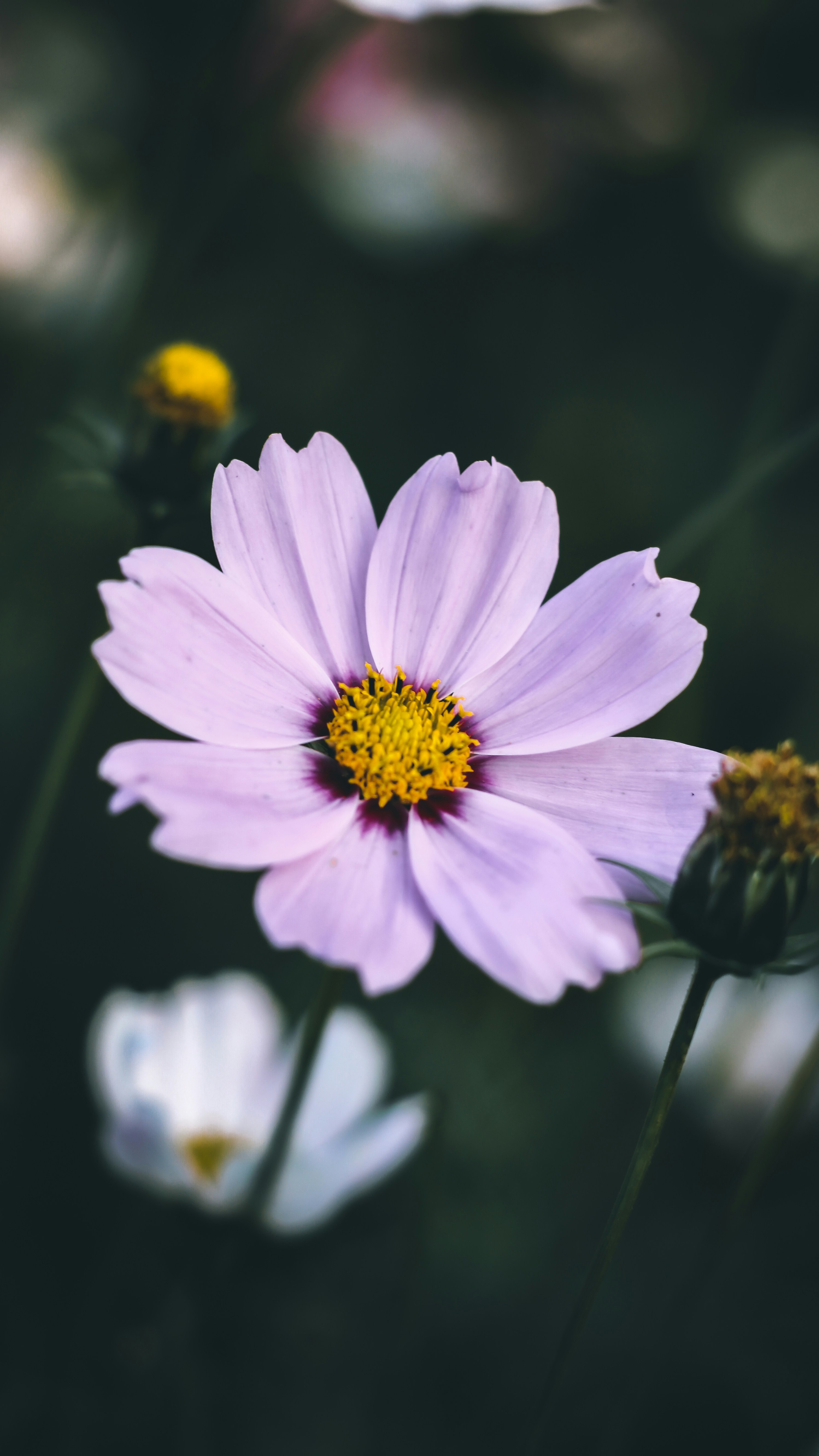 Photo by i_do_photographee