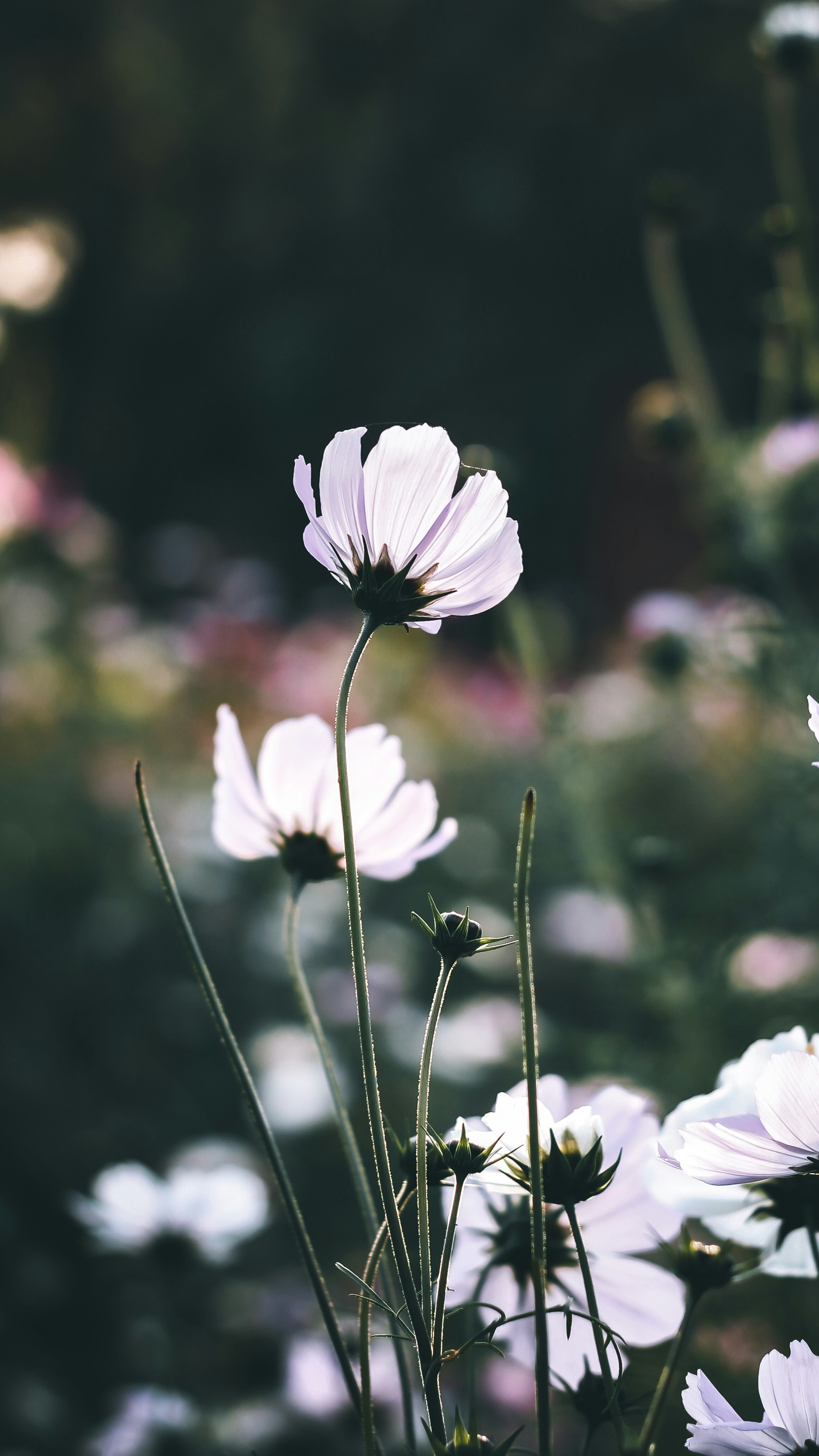 Photo by i_do_photographee