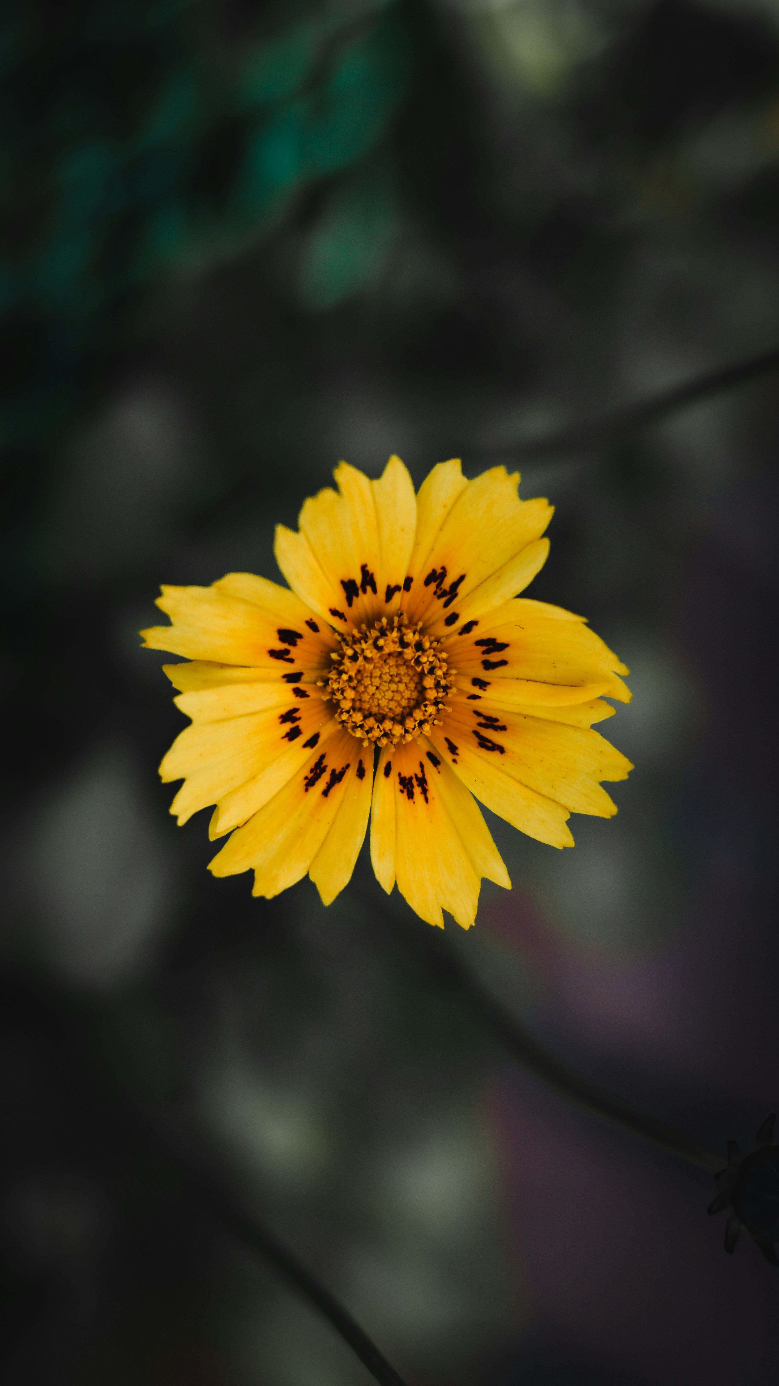 Photo by i_do_photographee