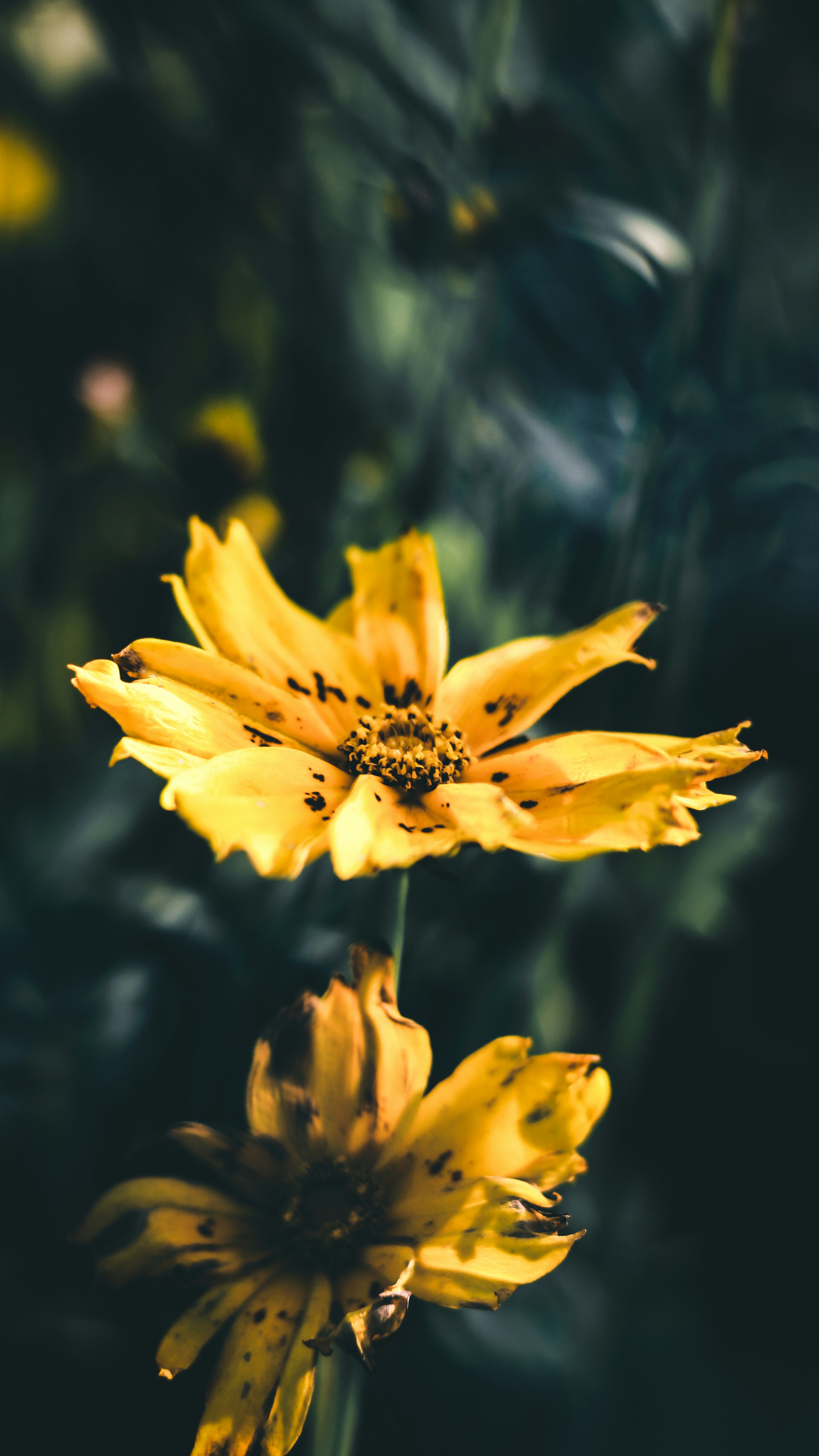 Photo by i_do_photographee