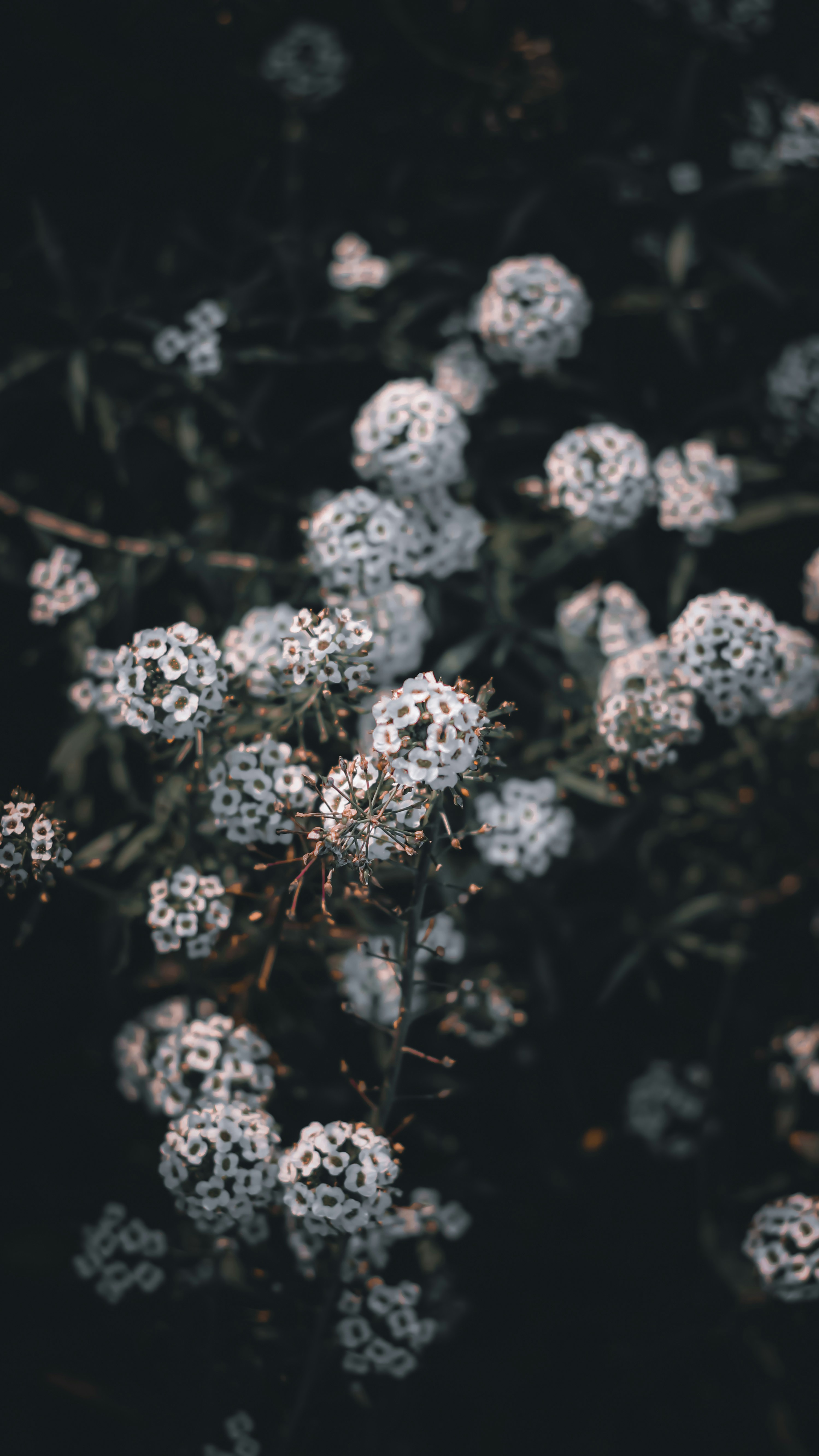 Photo by i_do_photographee