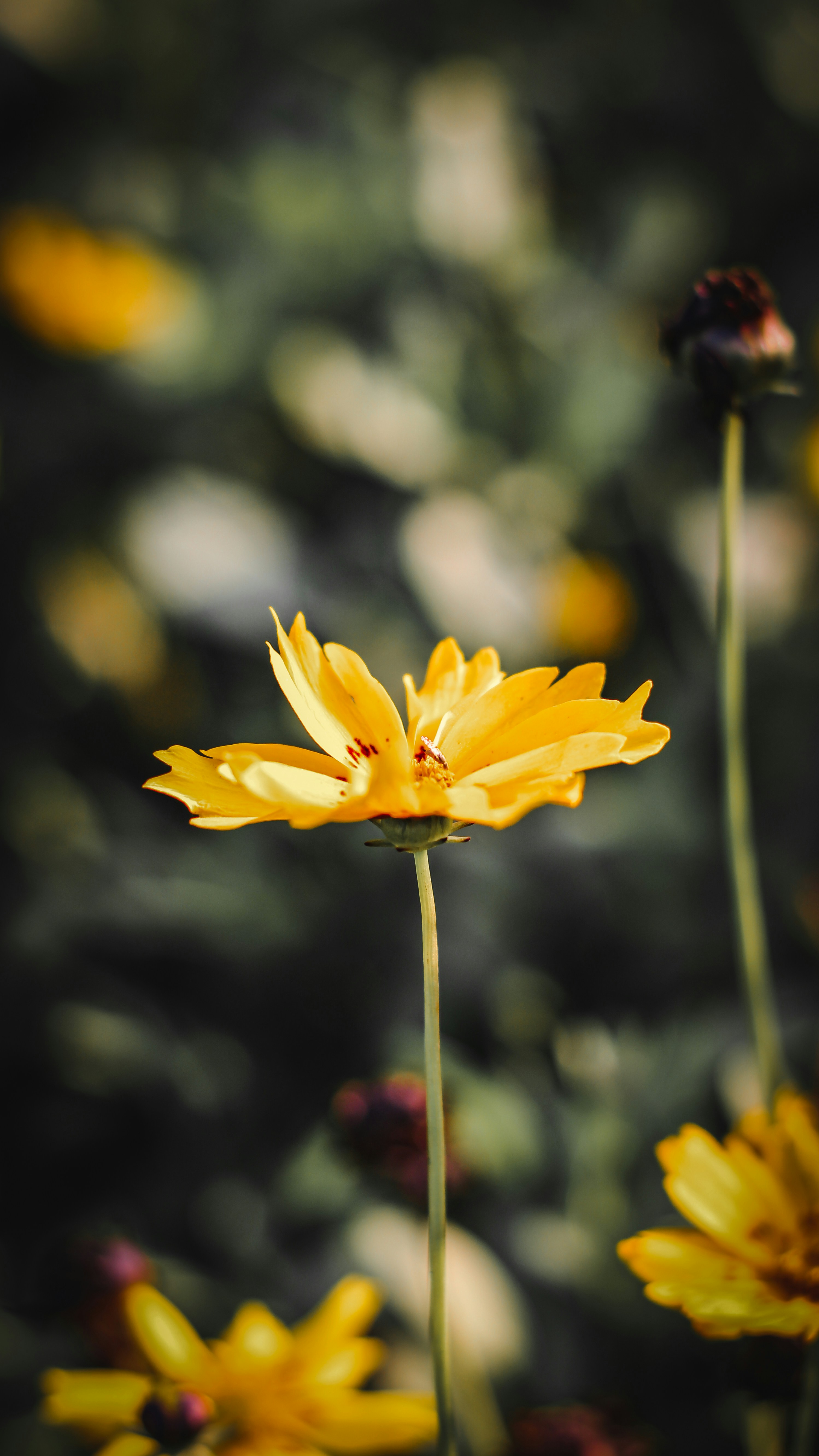 Photo by i_do_photographee