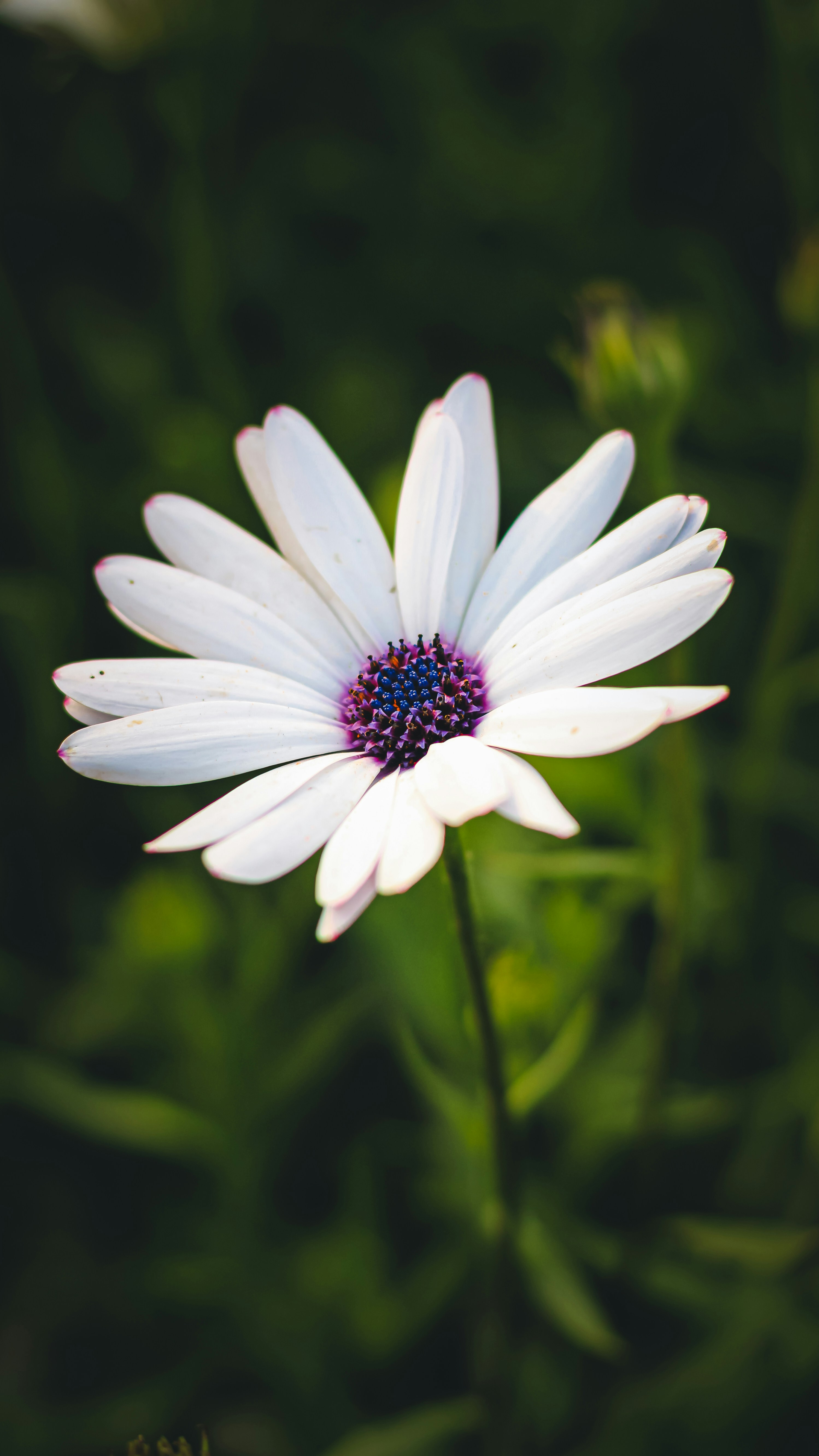 Photo by i_do_photographee