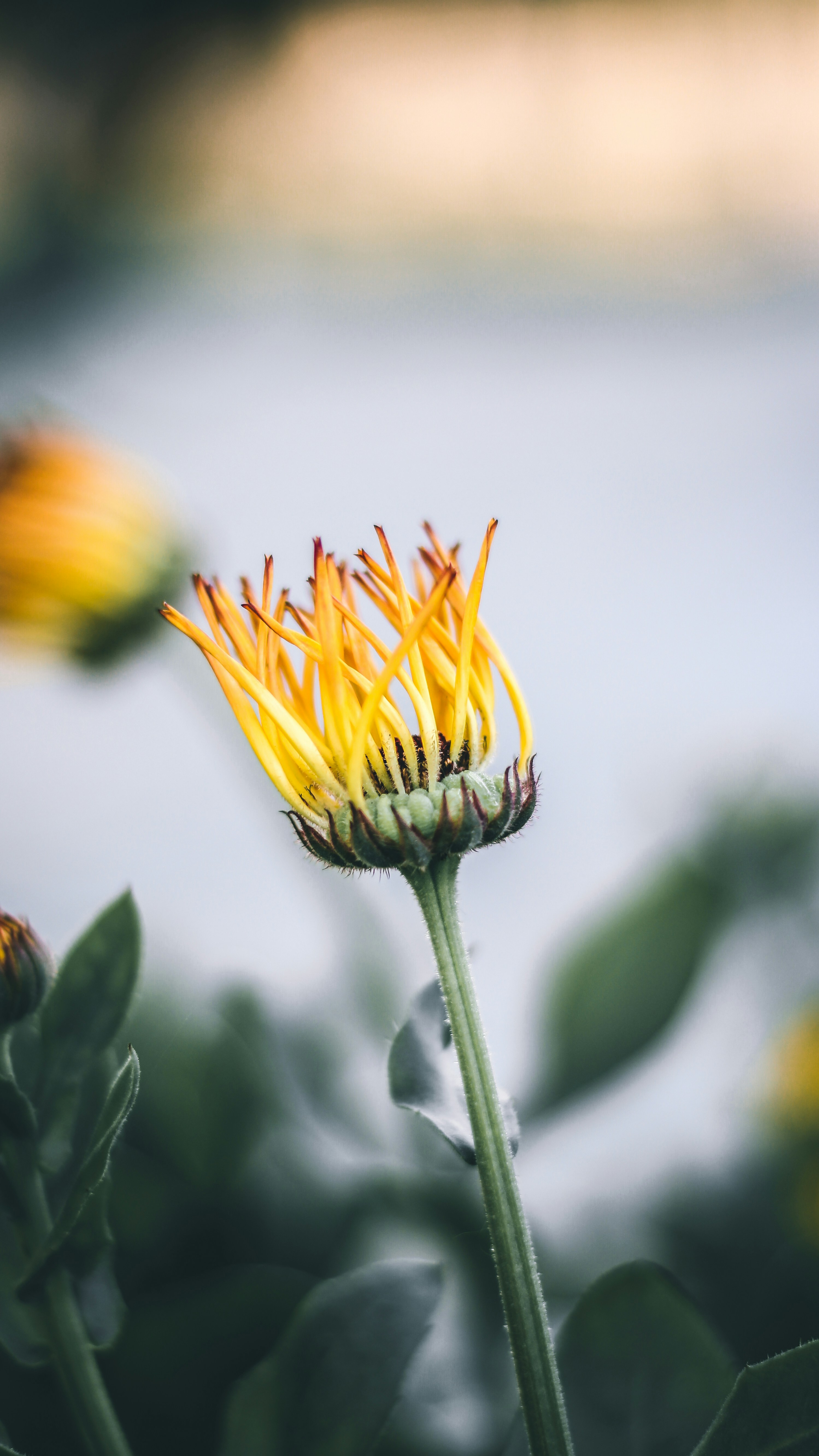 Photo by i_do_photographee