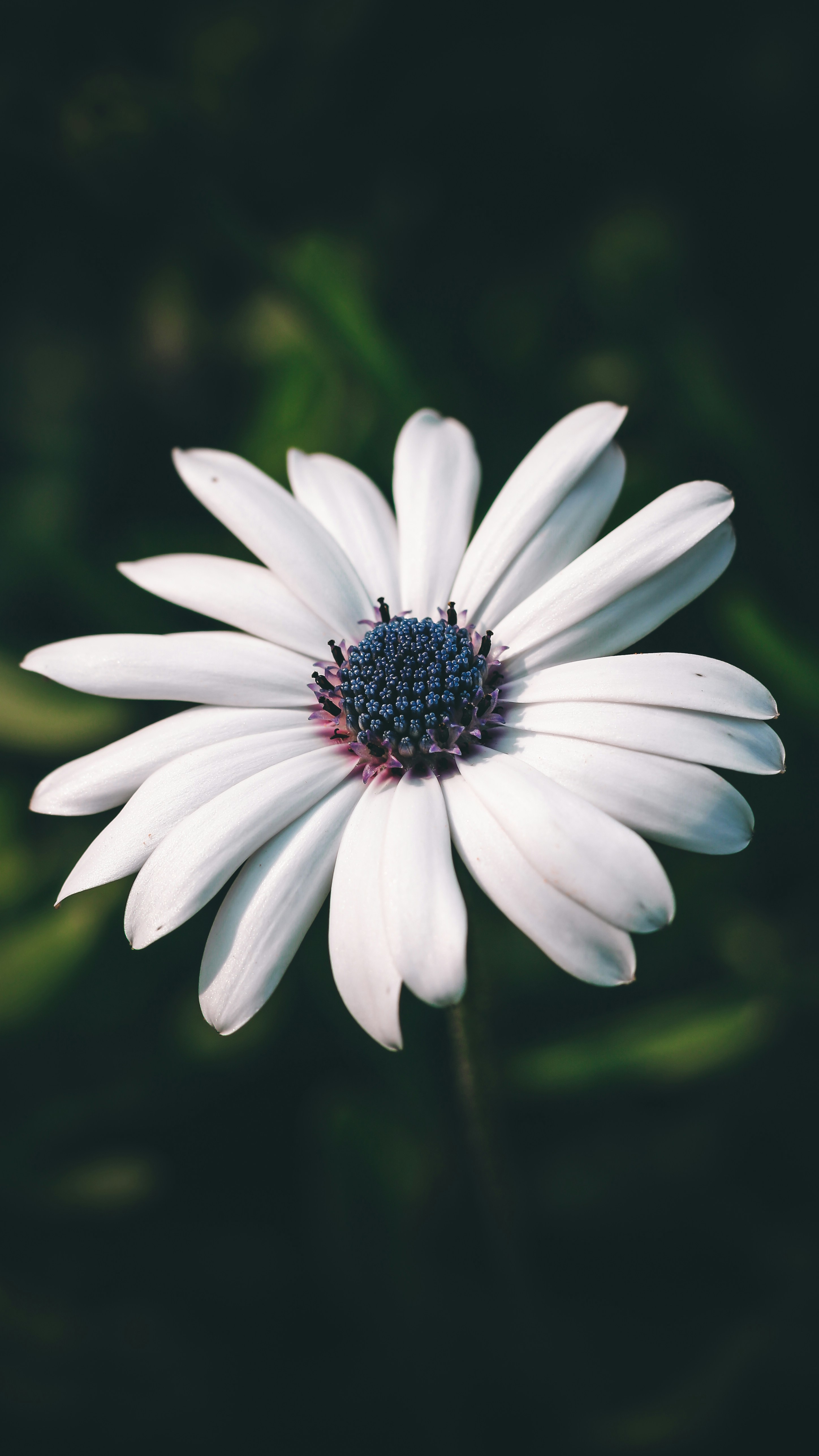 Photo by i_do_photographee