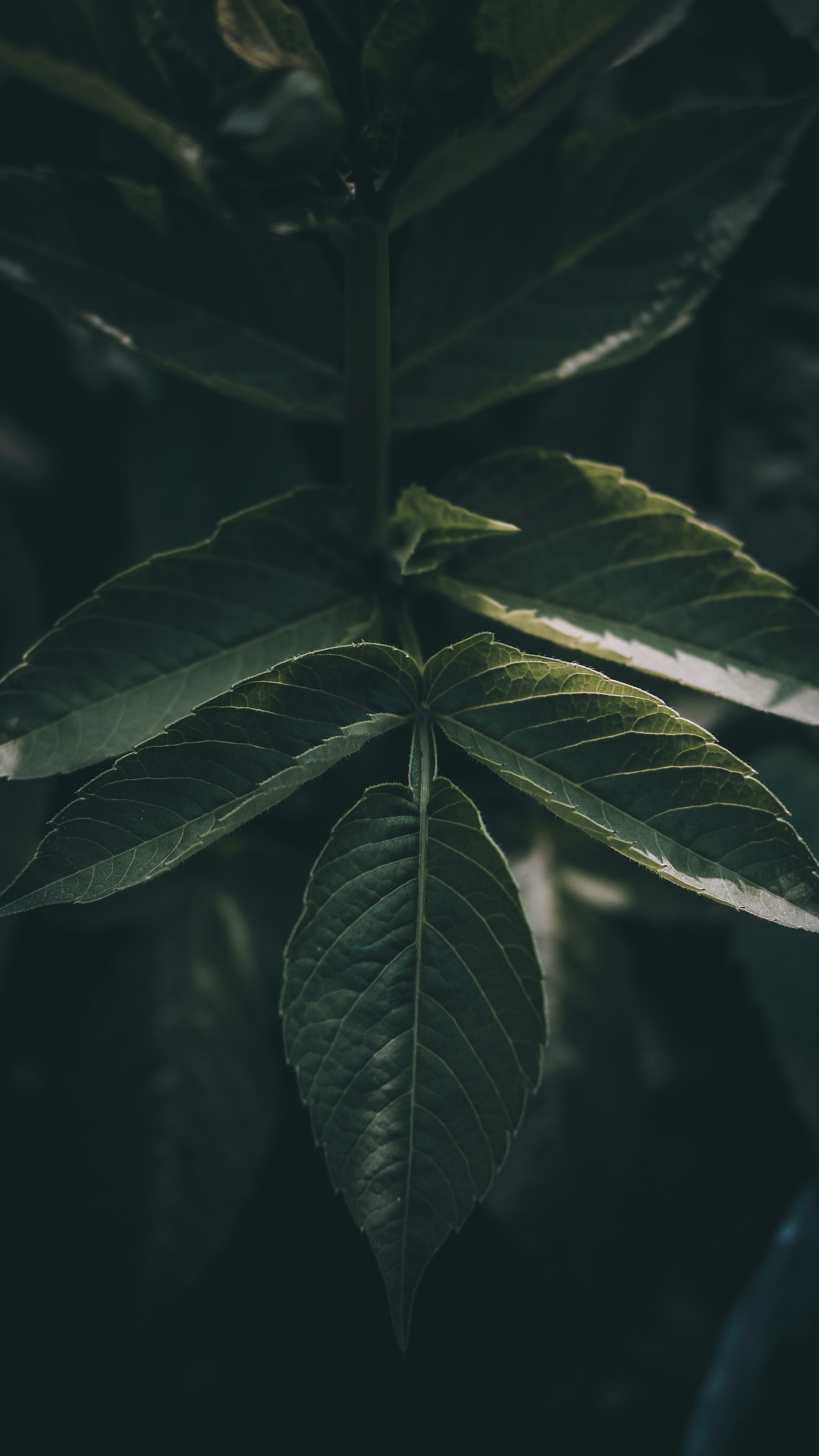 Photo by i_do_photographee