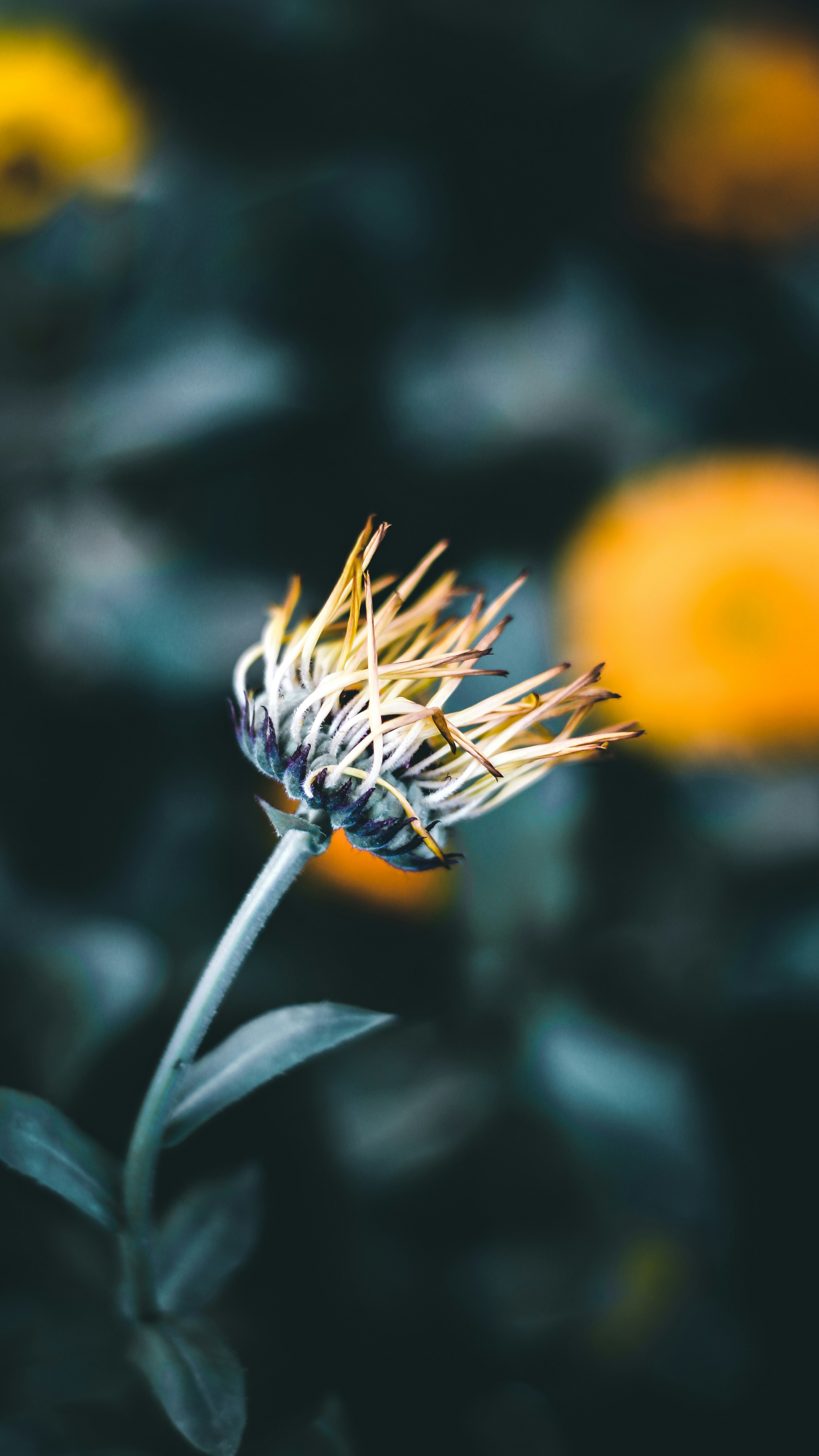 Photo by i_do_photographee