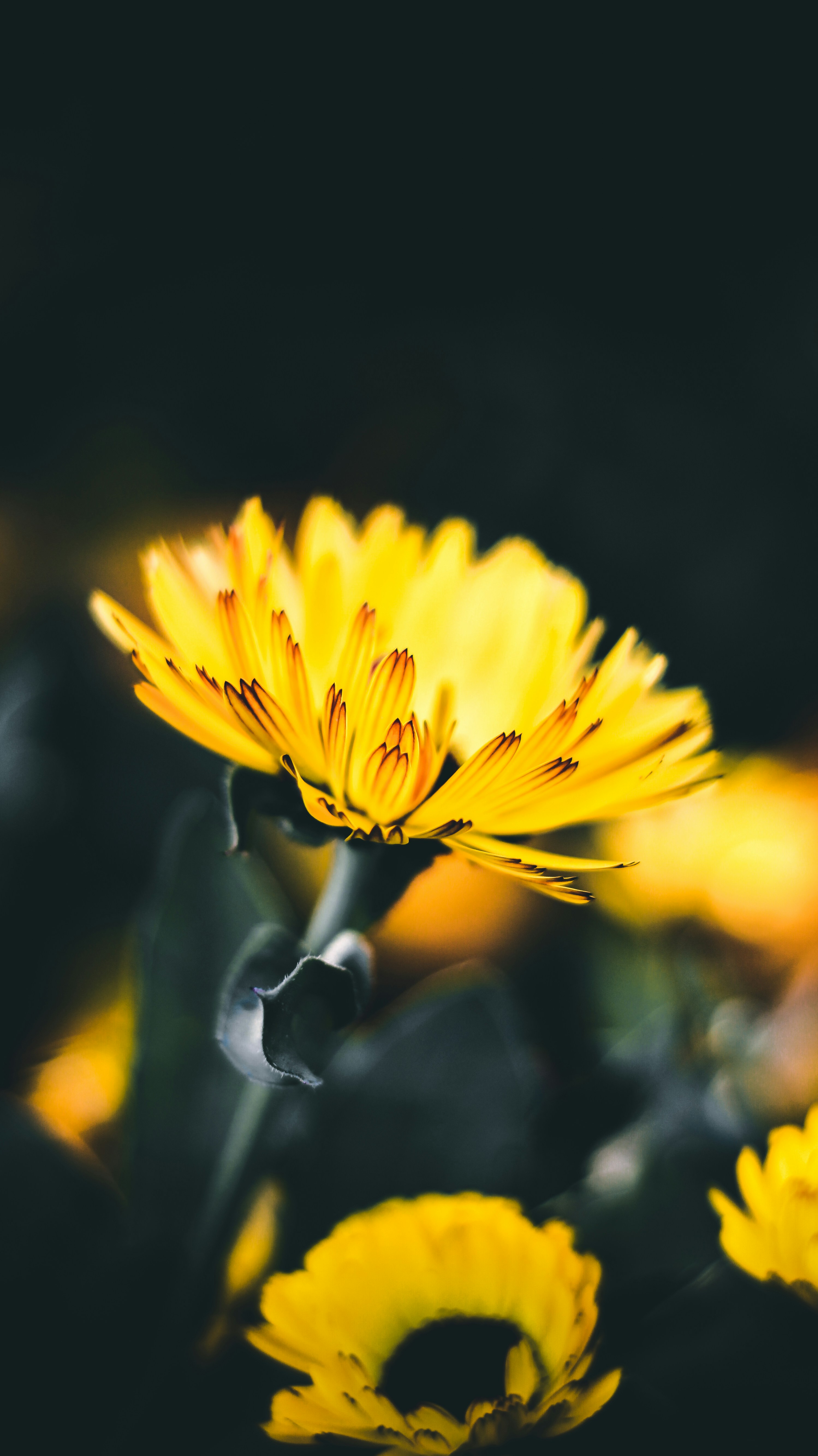 Photo by i_do_photographee