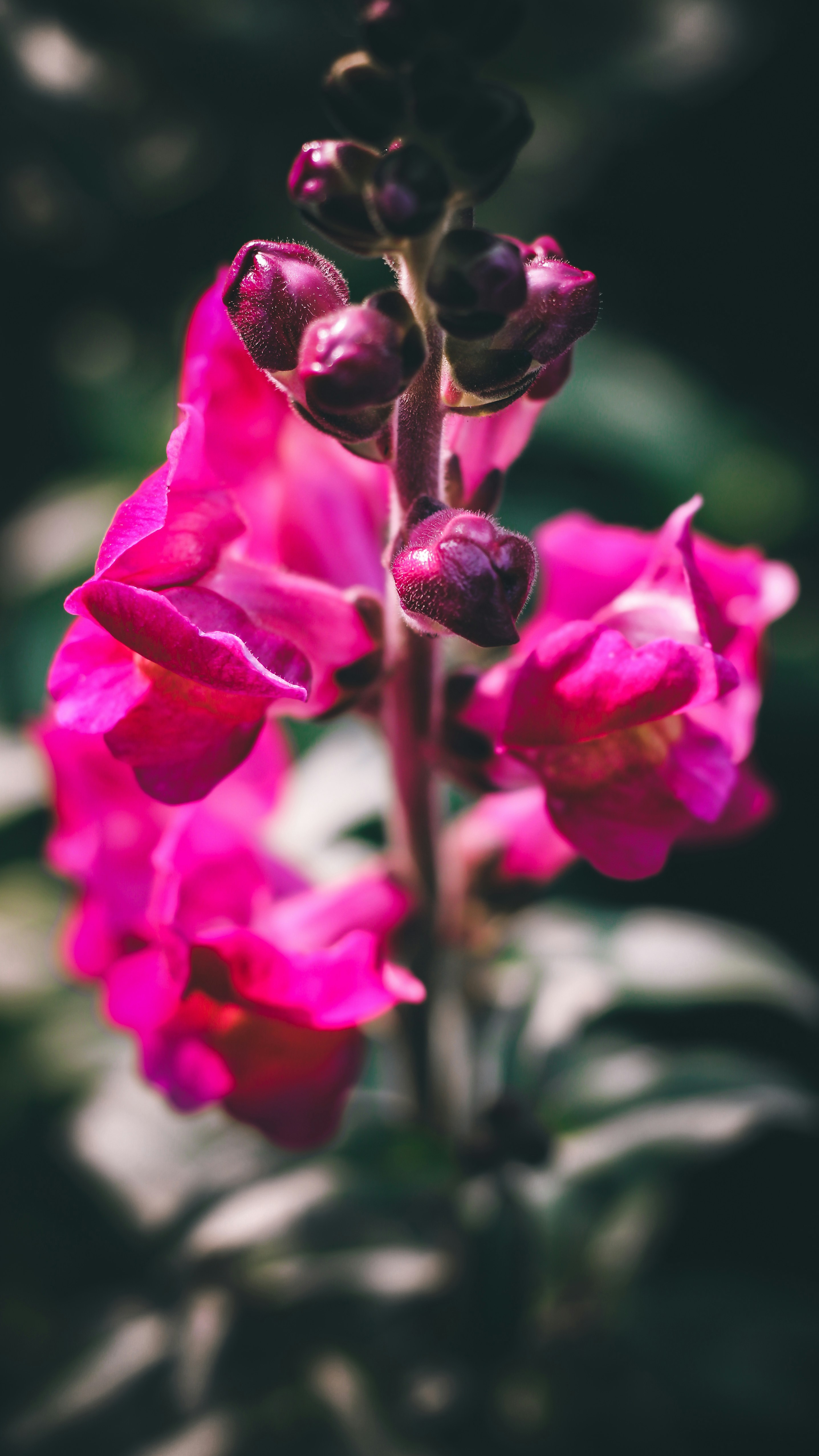 Photo by i_do_photographee