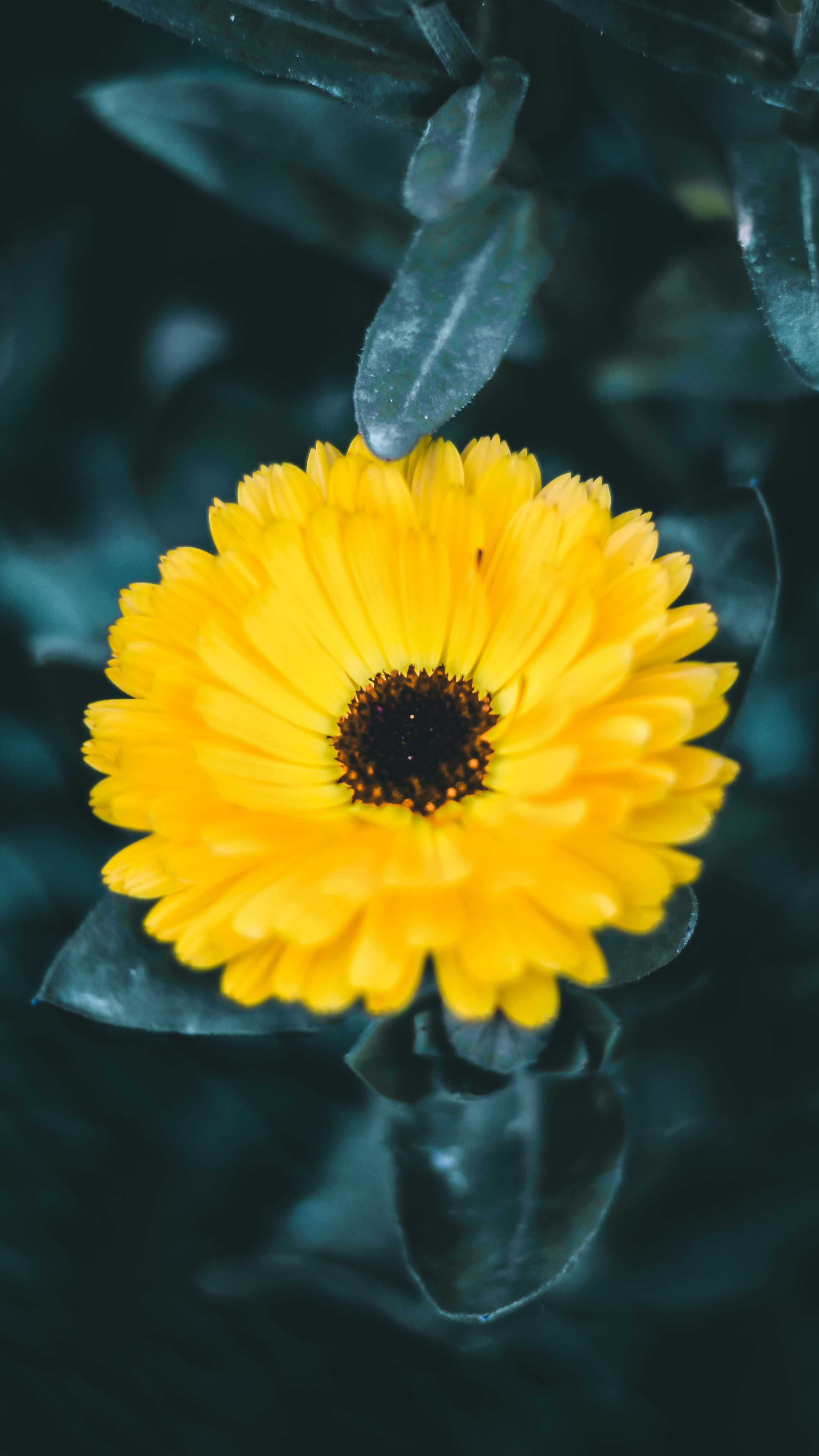 Photo by i_do_photographee