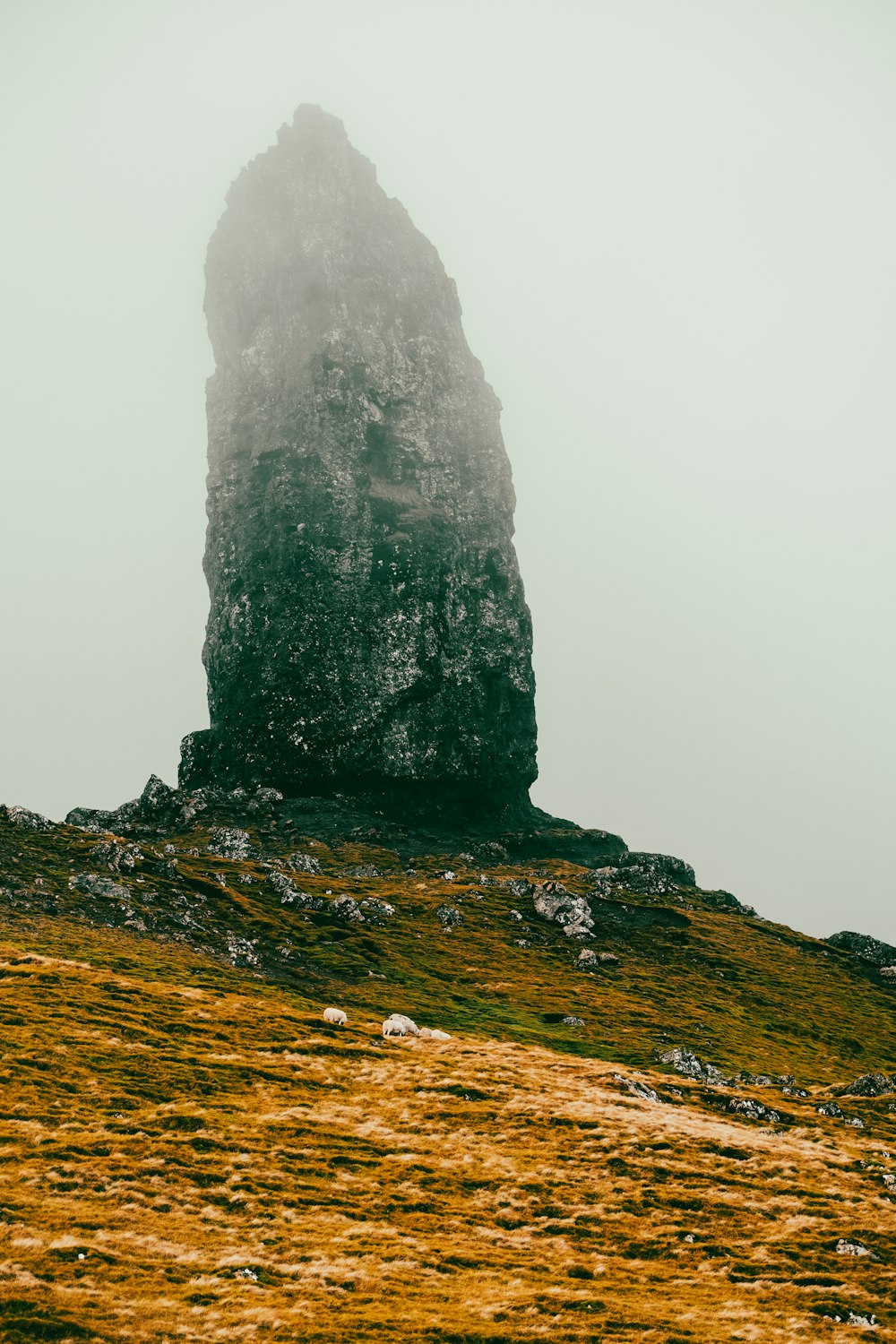 a large rock sticking out of the side of a hill