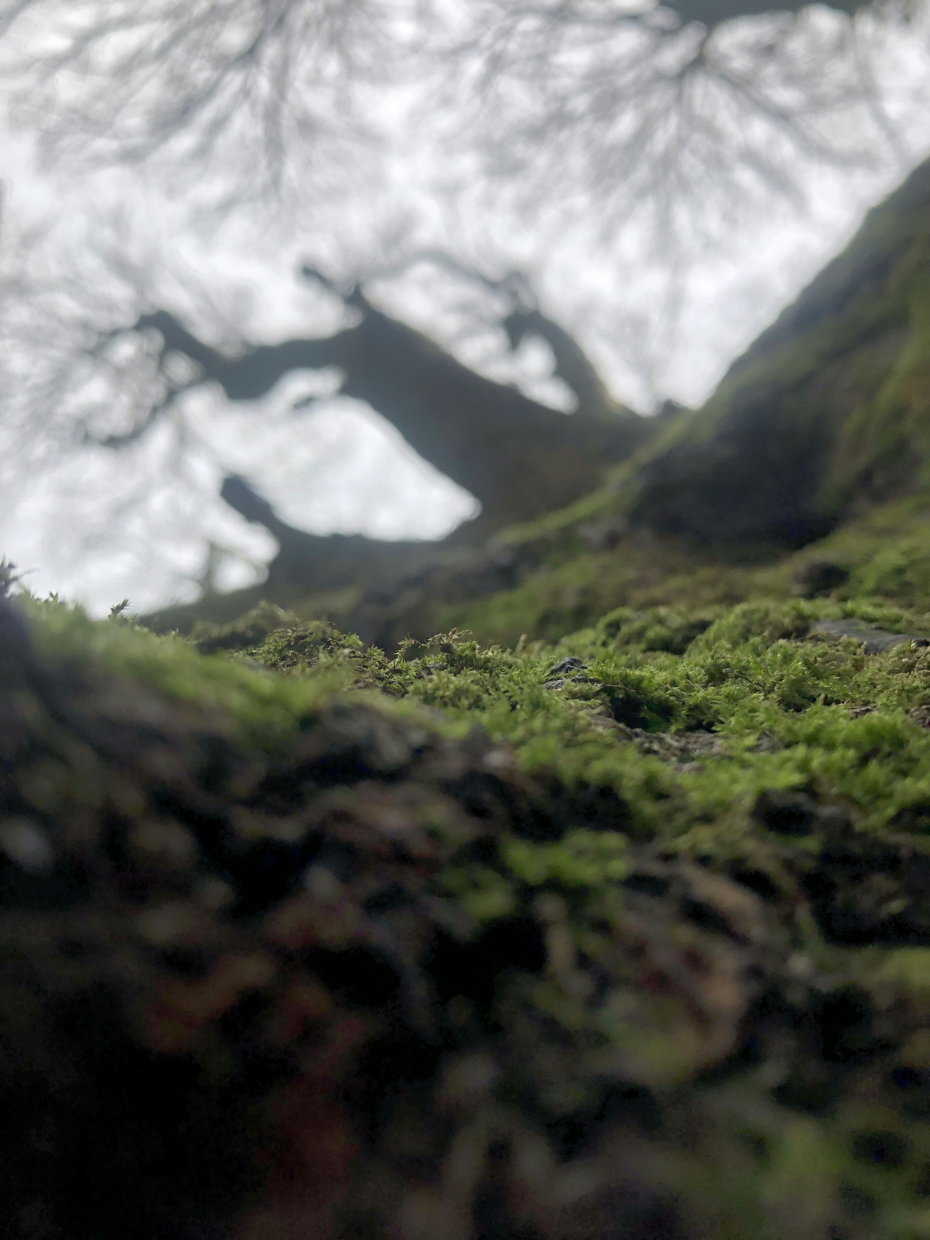 Photo by aidancoo_09