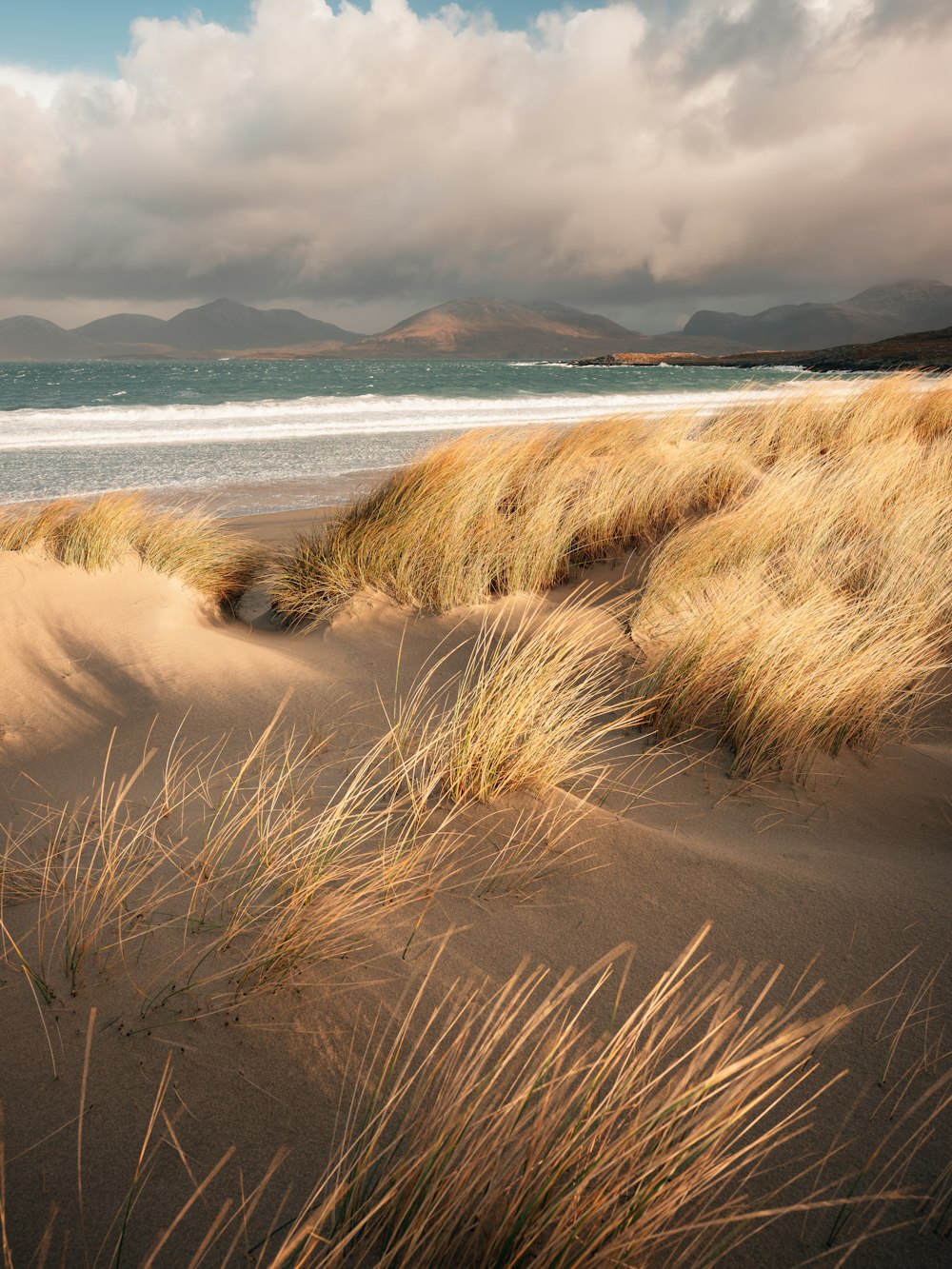 a sandy beach with grass and mountains in the background