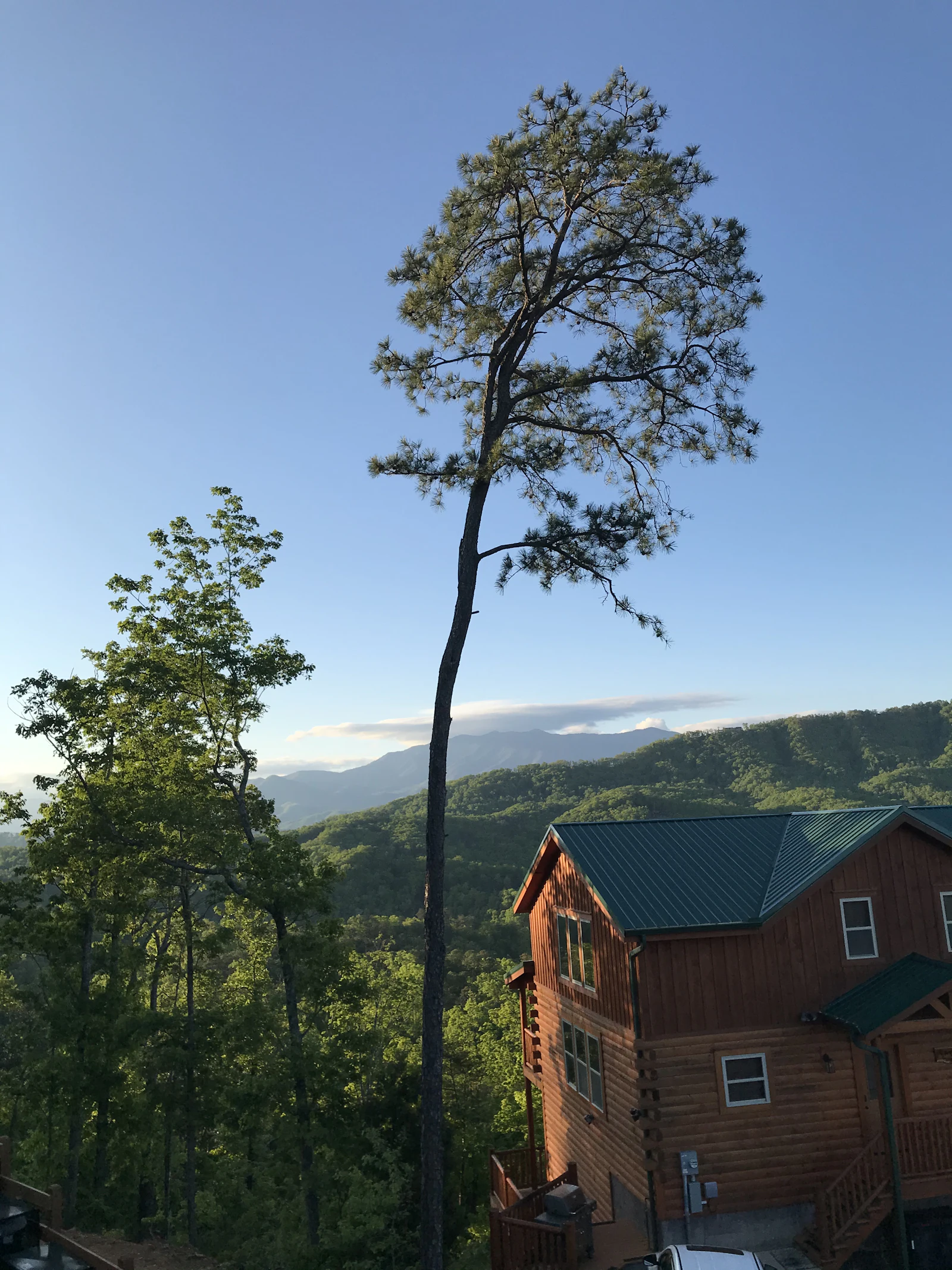 A tall bare tree in front of a mountain house.