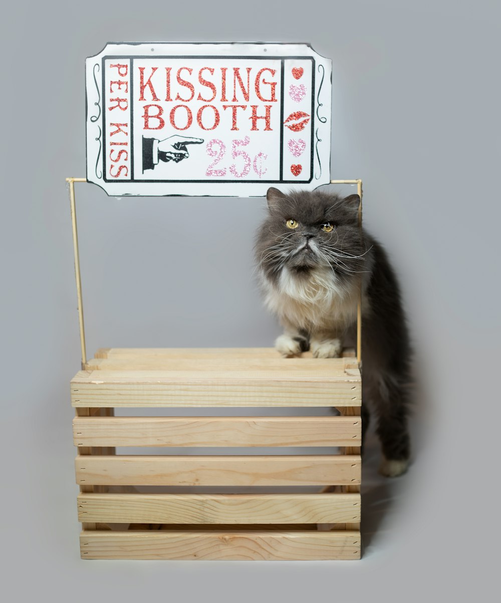 a cat sitting on top of a wooden crate