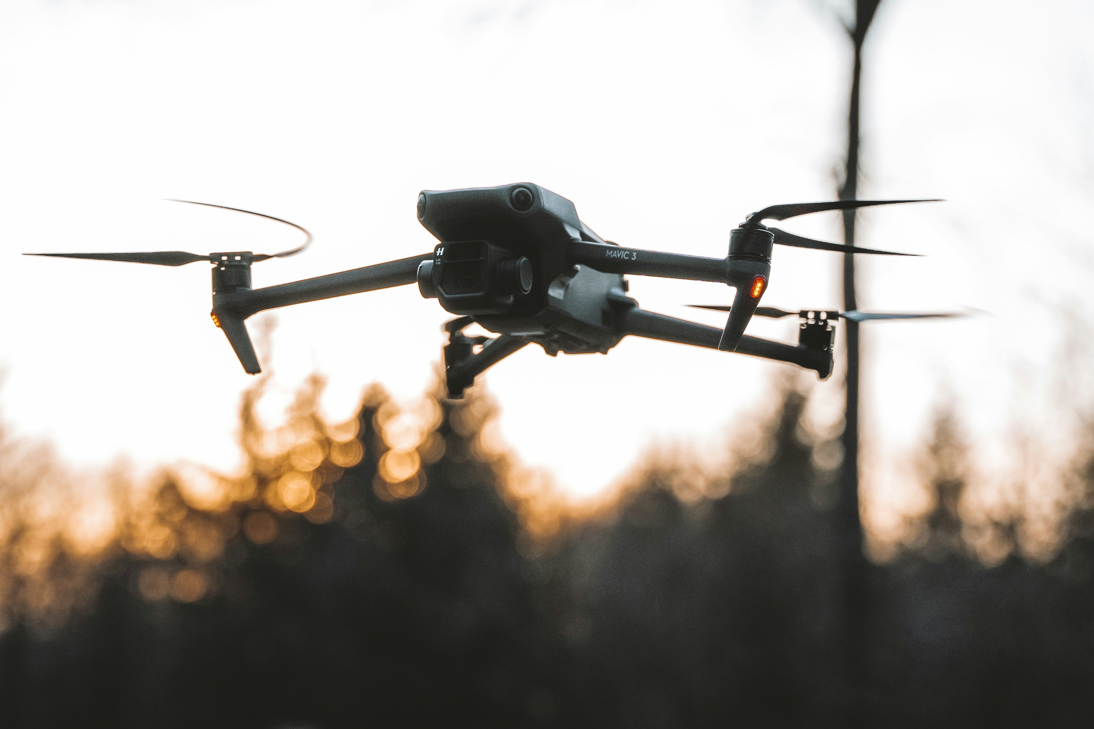 Photo by masoodaslami