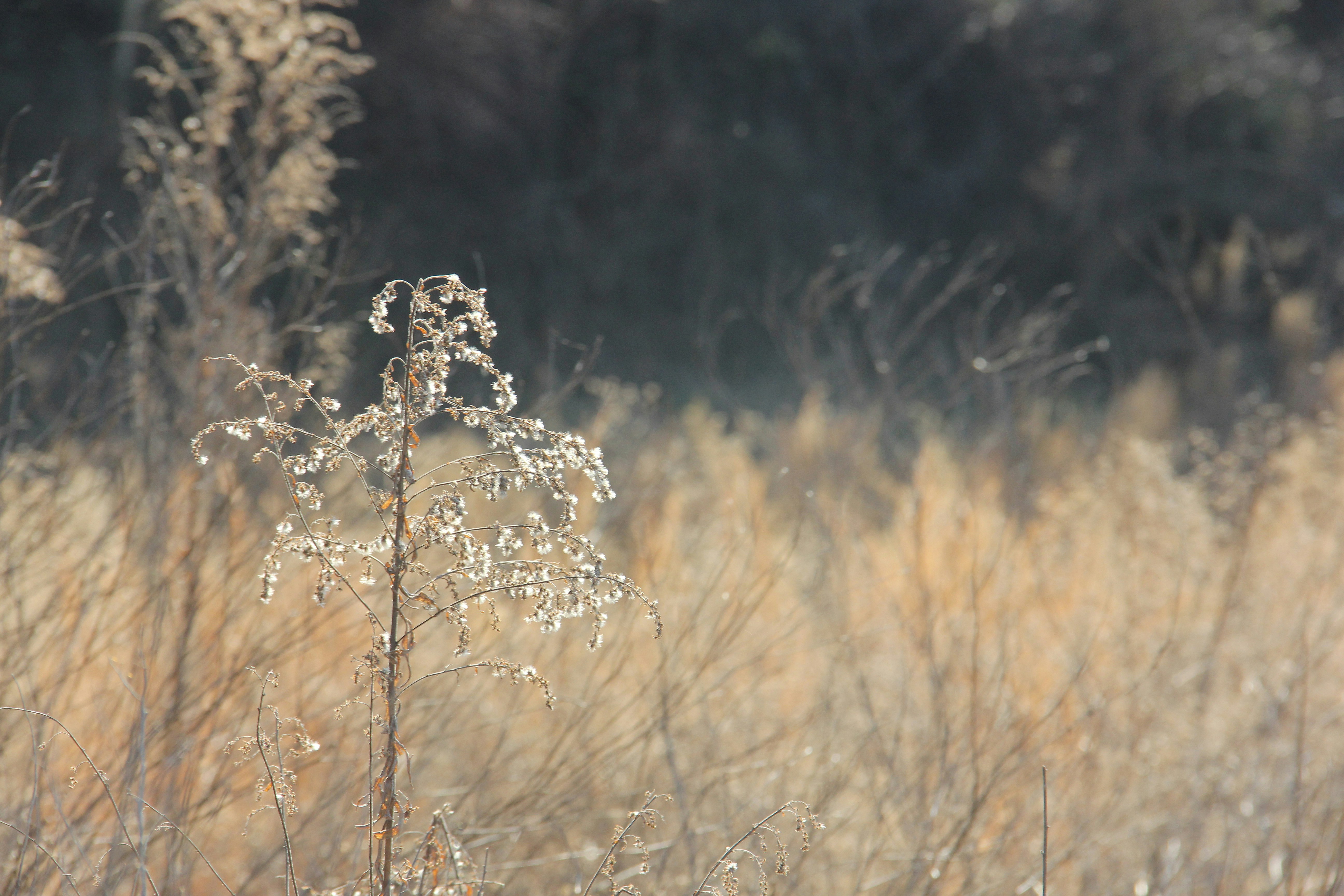 Photo by naturedecoris